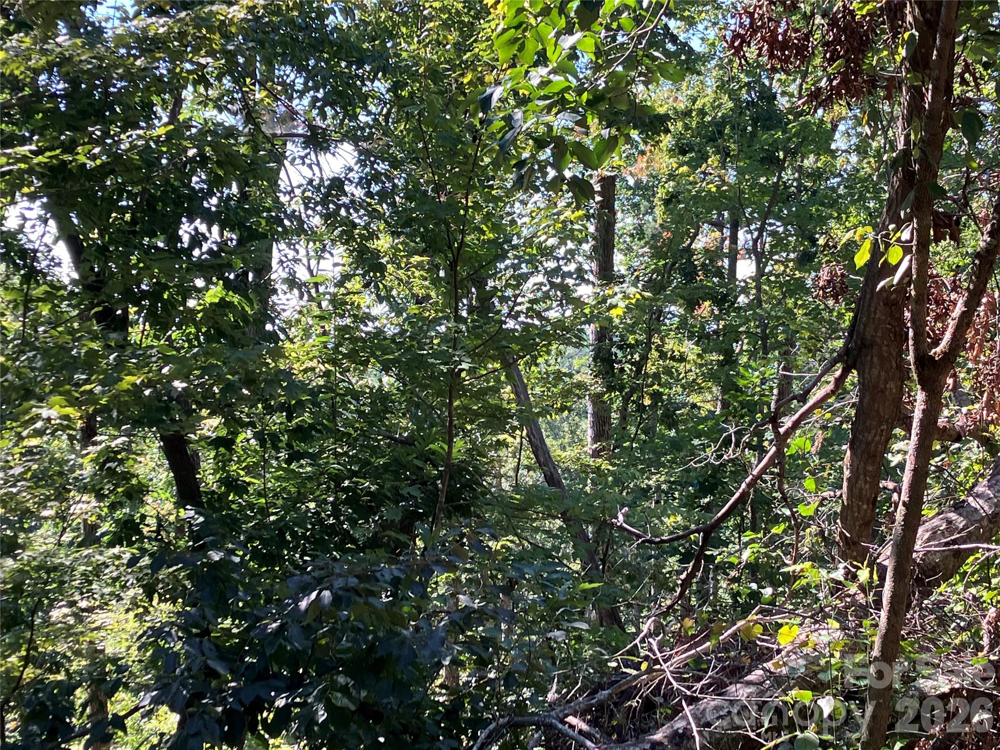 Lot at 00 Tyler Terrace, Rutherfordton, photo 11 of 17