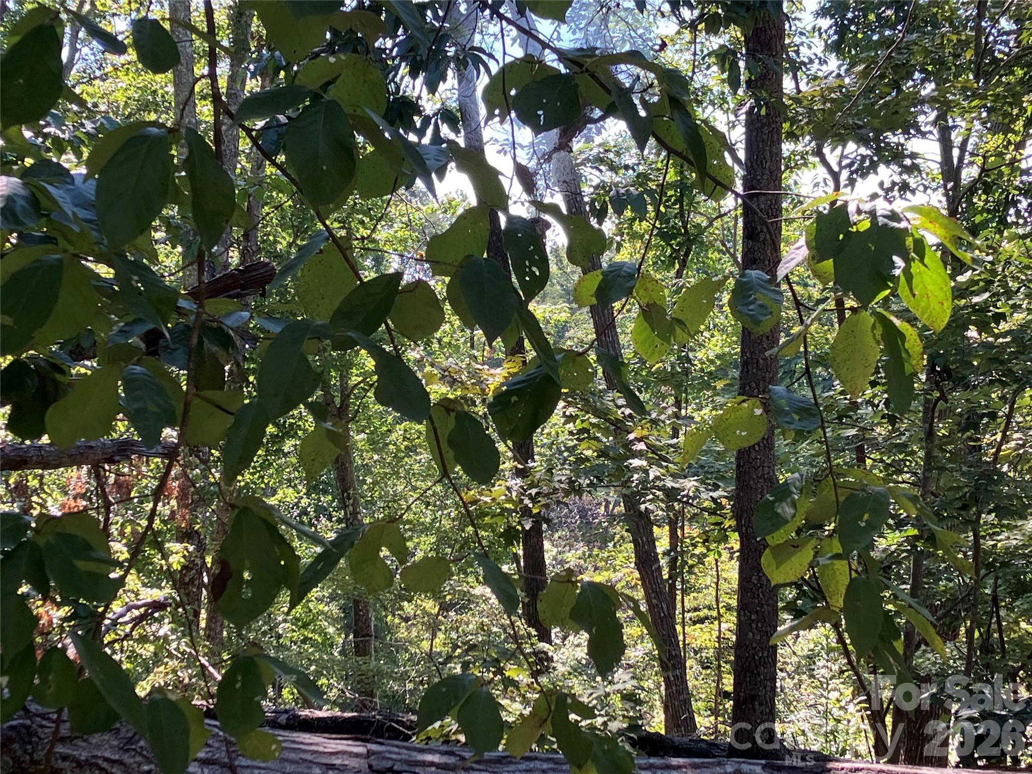 Lot at 00 Tyler Terrace, Rutherfordton, photo 12 of 17