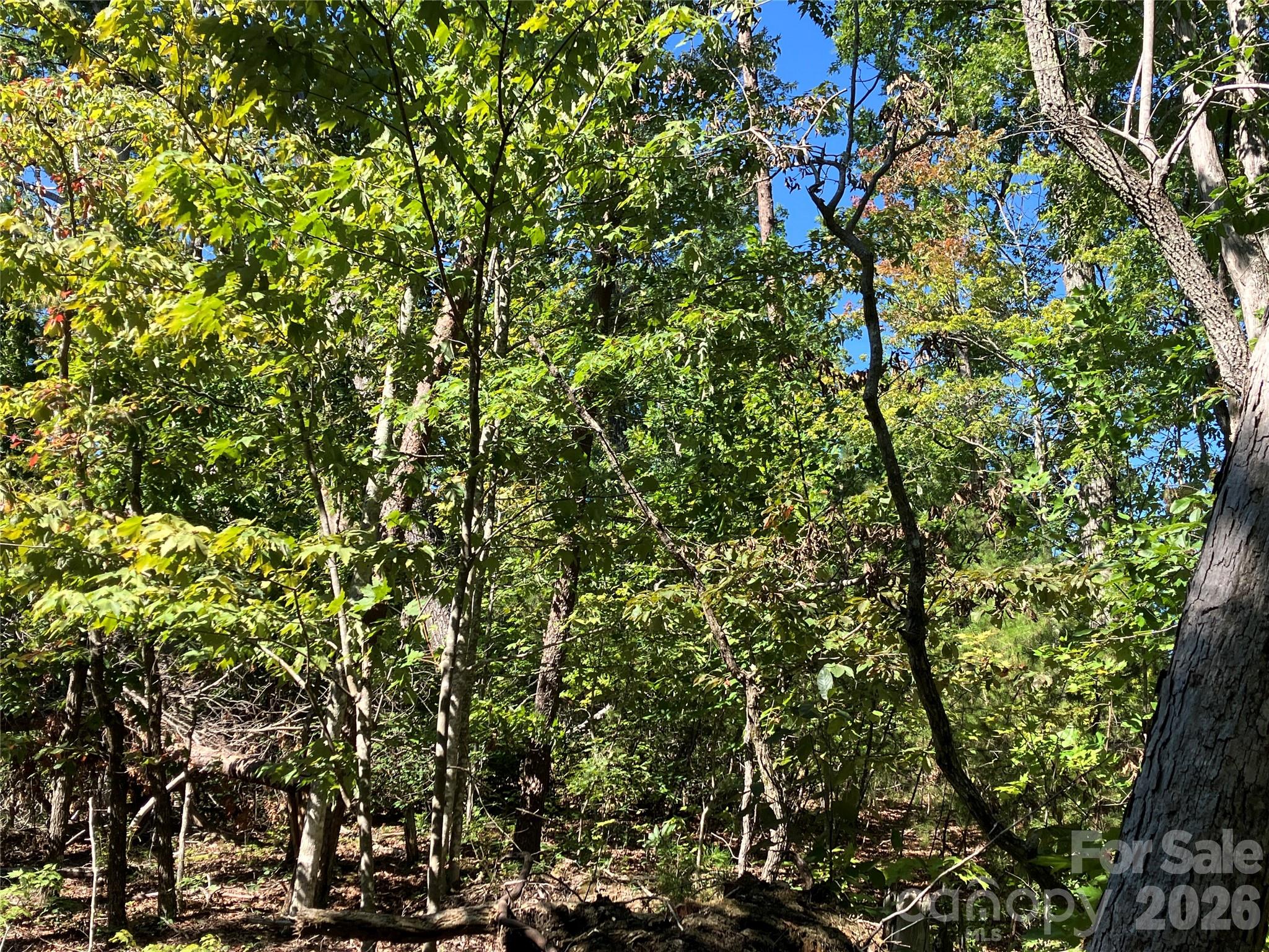 Lot at 00 Tyler Terrace, Rutherfordton, photo 13 of 17