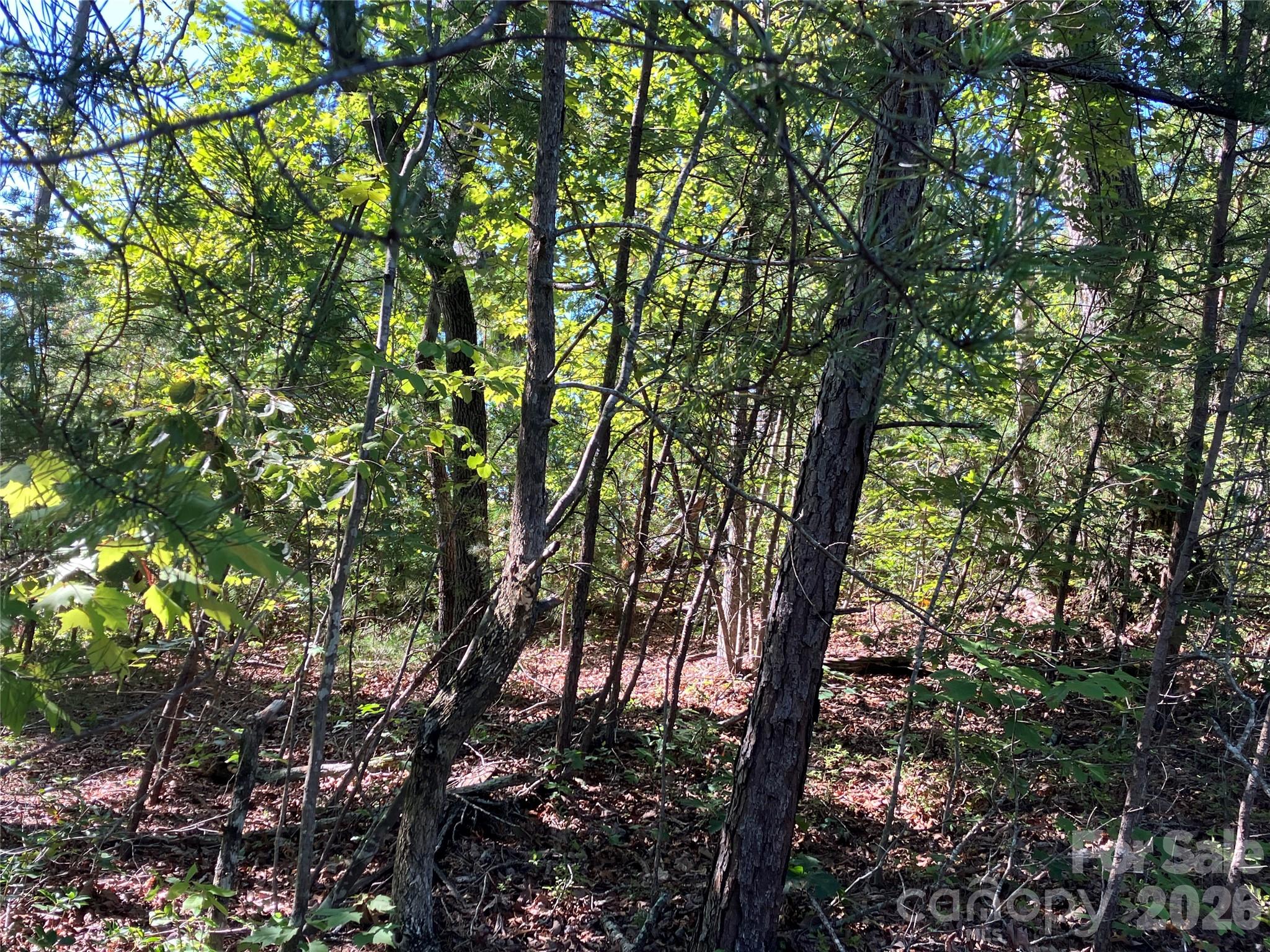Lot at 00 Tyler Terrace, Rutherfordton, photo 15 of 17