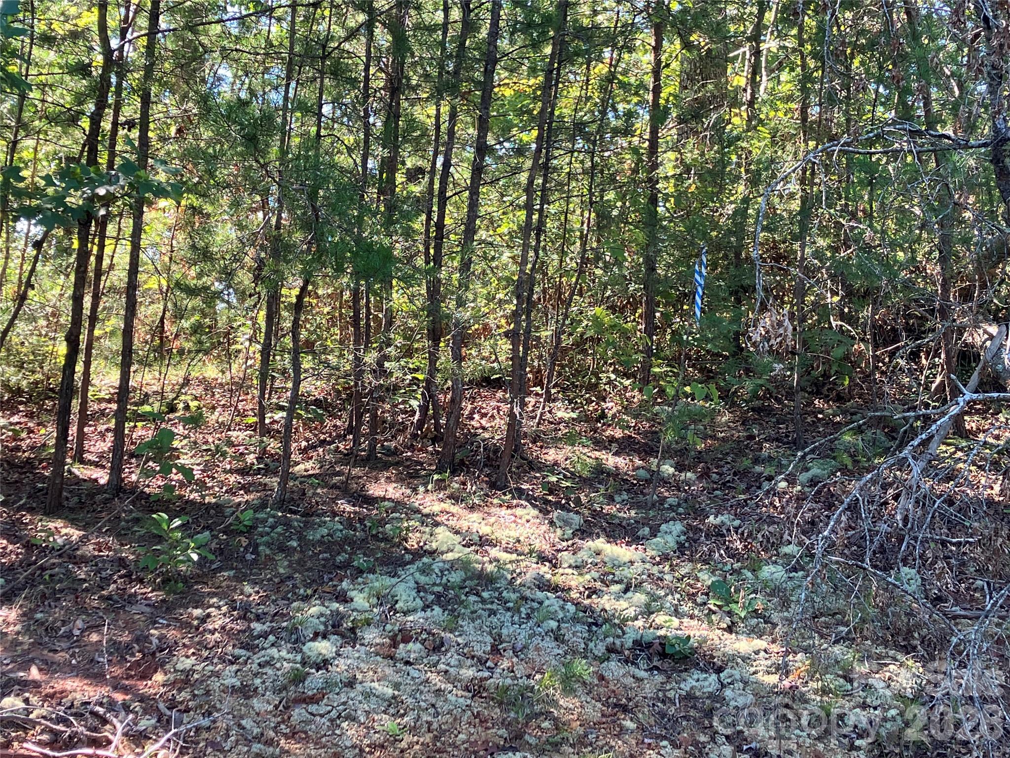 Lot at 00 Tyler Terrace, Rutherfordton, photo 16 of 17