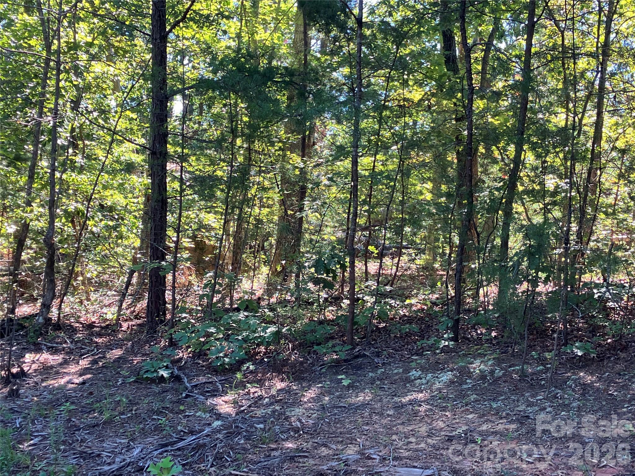 Lot at 00 Tyler Terrace, Rutherfordton, photo 17 of 17