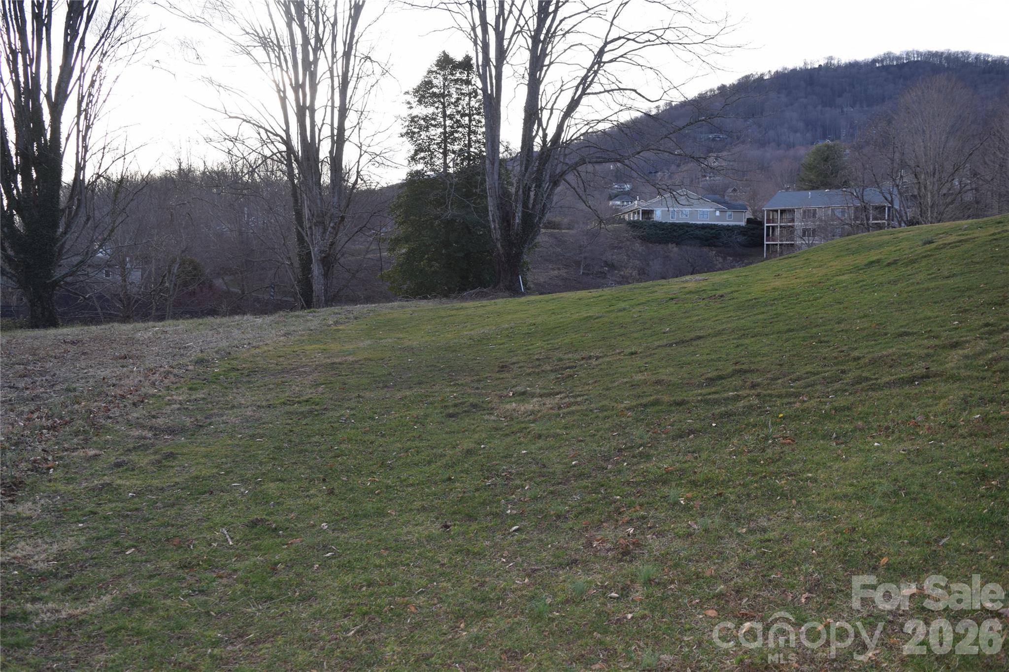 Lot at 00 Sand Trap Road, Waynesville, photo 2 of 6