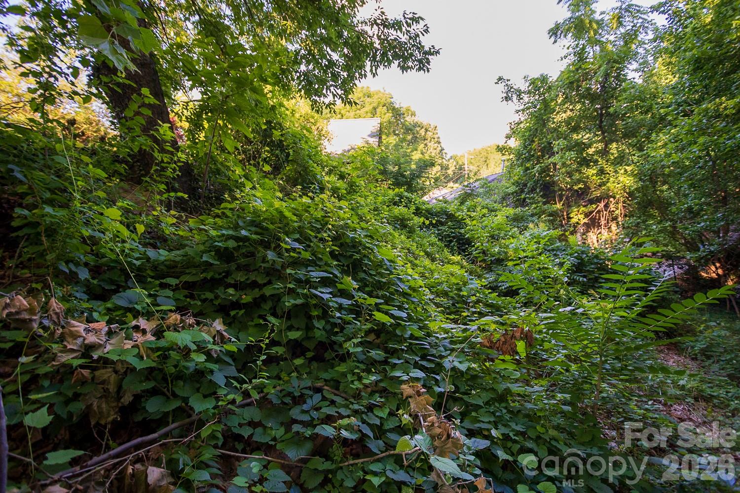Lot at 99999 Clingman Avenue, Asheville, photo 2 of 3