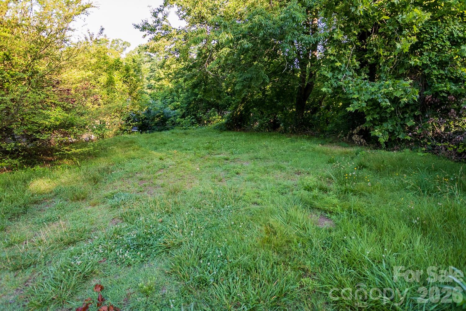 Lot at 99999 Clingman Avenue, Asheville, photo 3 of 3