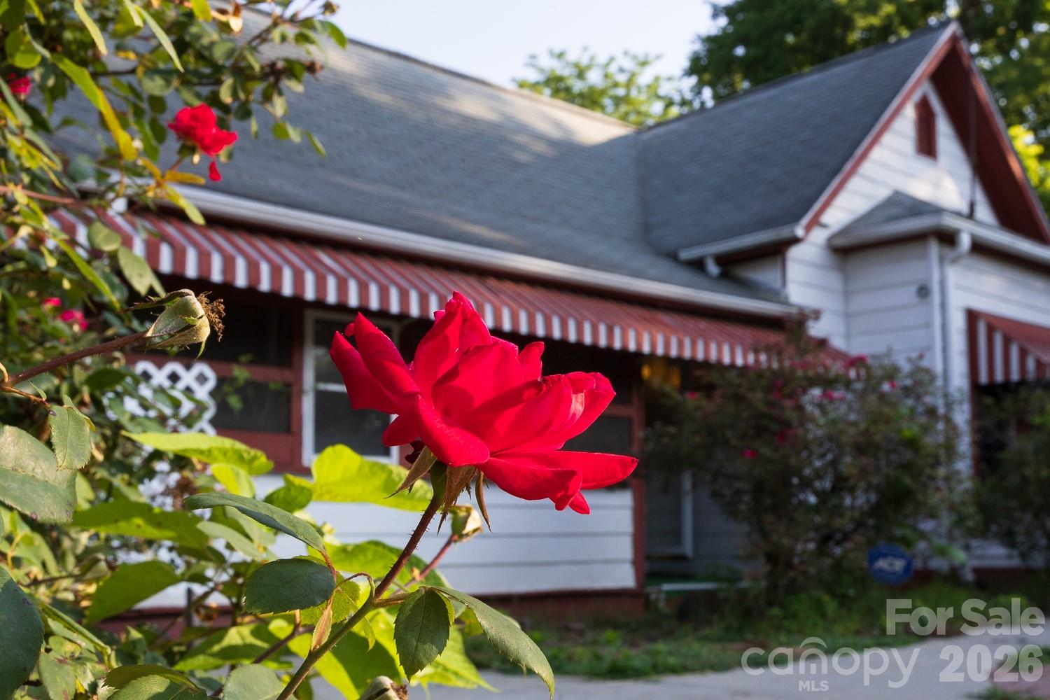 Single Family Residence at 91 Clingman Avenue, Asheville, photo 2 of 35
