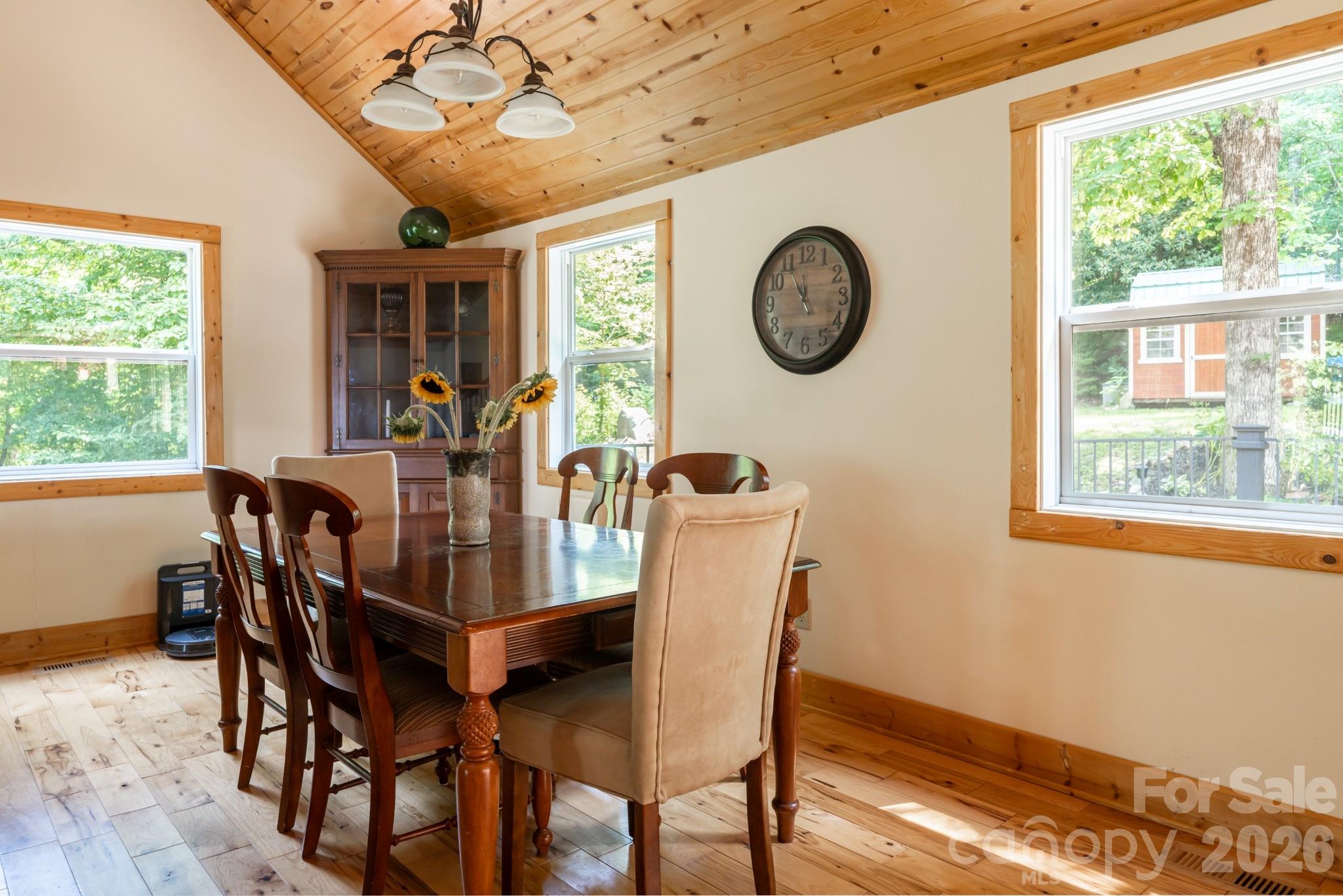 Single Family Residence at 219 Echo Mountain View Road, Fairview, photo 16 of 48