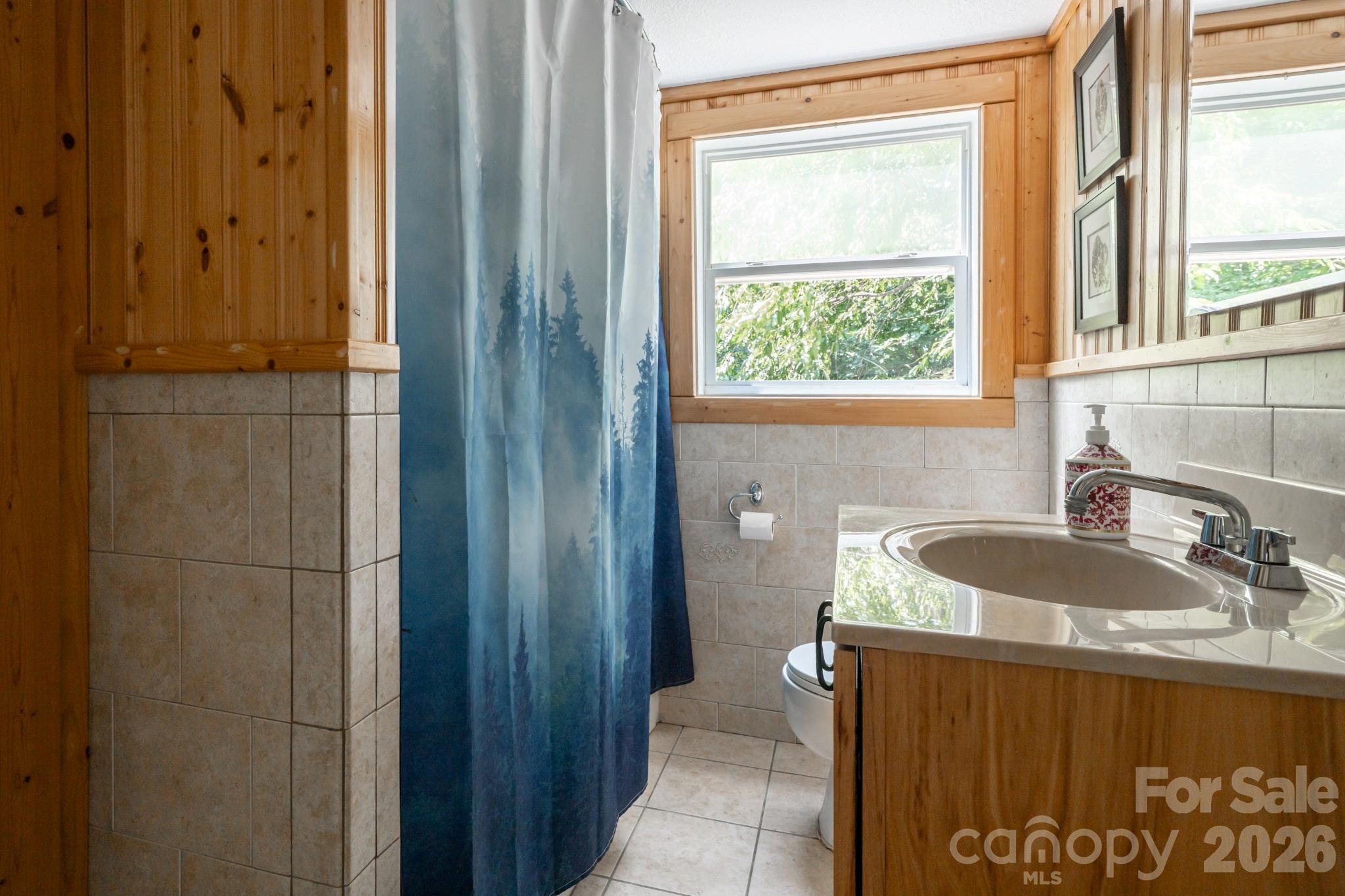 Single Family Residence at 219 Echo Mountain View Road, Fairview, photo 20 of 48