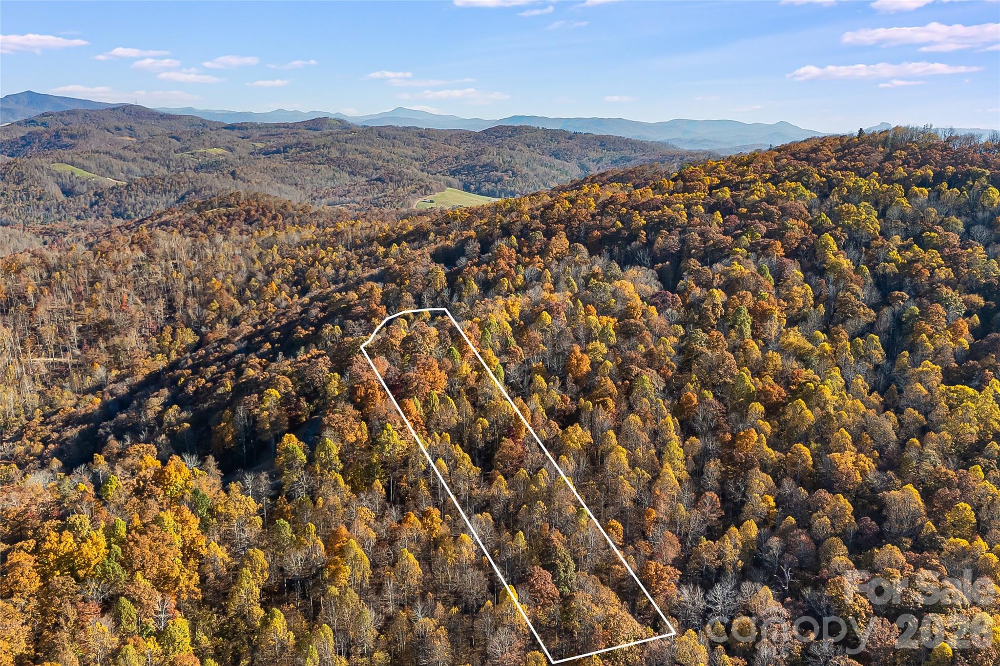 Acreage at LOT 103 Alderfly Court, Spruce Pine, photo 2 of 23