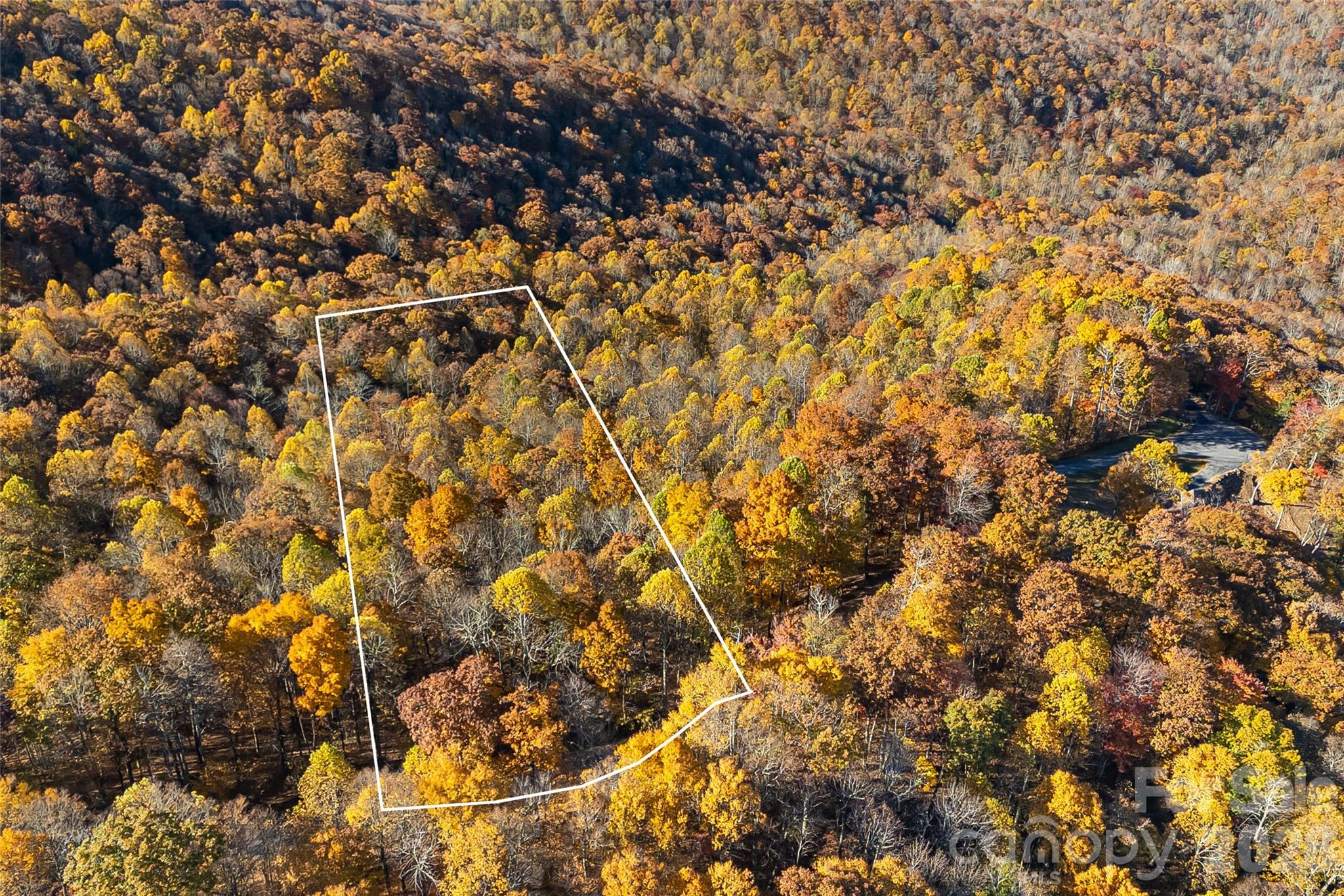 Acreage at LOT 103 Alderfly Court, Spruce Pine, photo 4 of 23