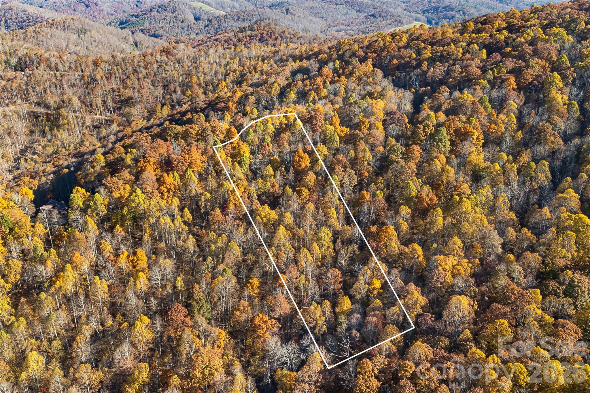 Acreage at LOT 103 Alderfly Court, Spruce Pine, photo 5 of 23