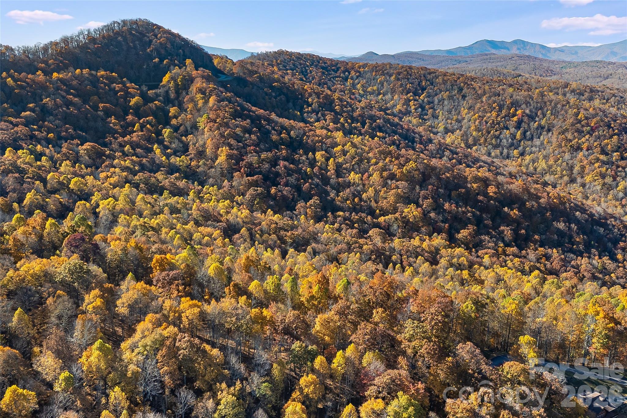 Acreage at LOT 103 Alderfly Court, Spruce Pine, photo 10 of 23