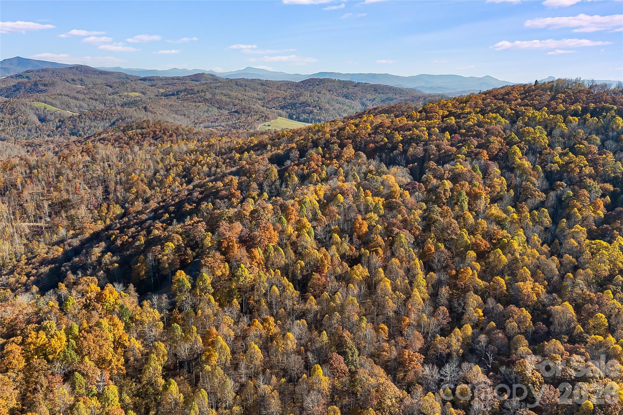 Acreage at LOT 103 Alderfly Court, Spruce Pine, photo 12 of 23