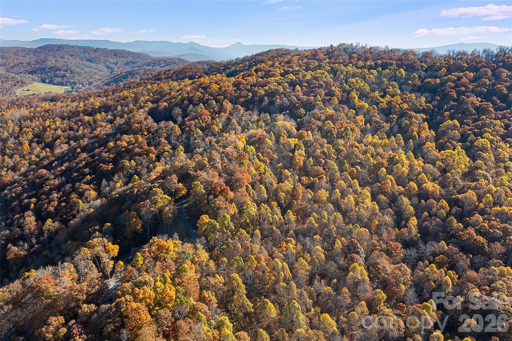 Acreage at LOT 103 Alderfly Court, Spruce Pine, photo 13 of 23