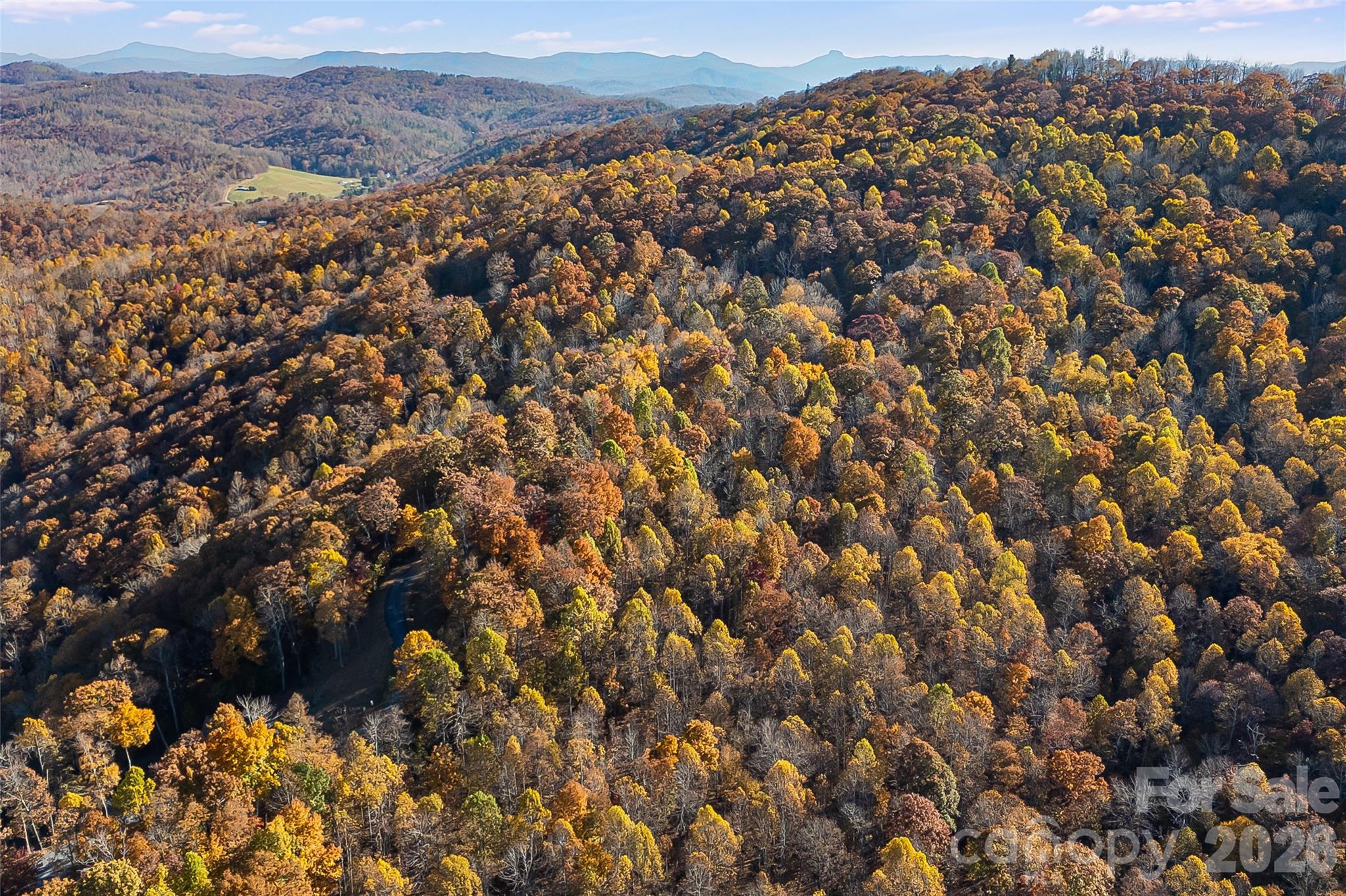 Acreage at LOT 103 Alderfly Court, Spruce Pine, photo 14 of 23