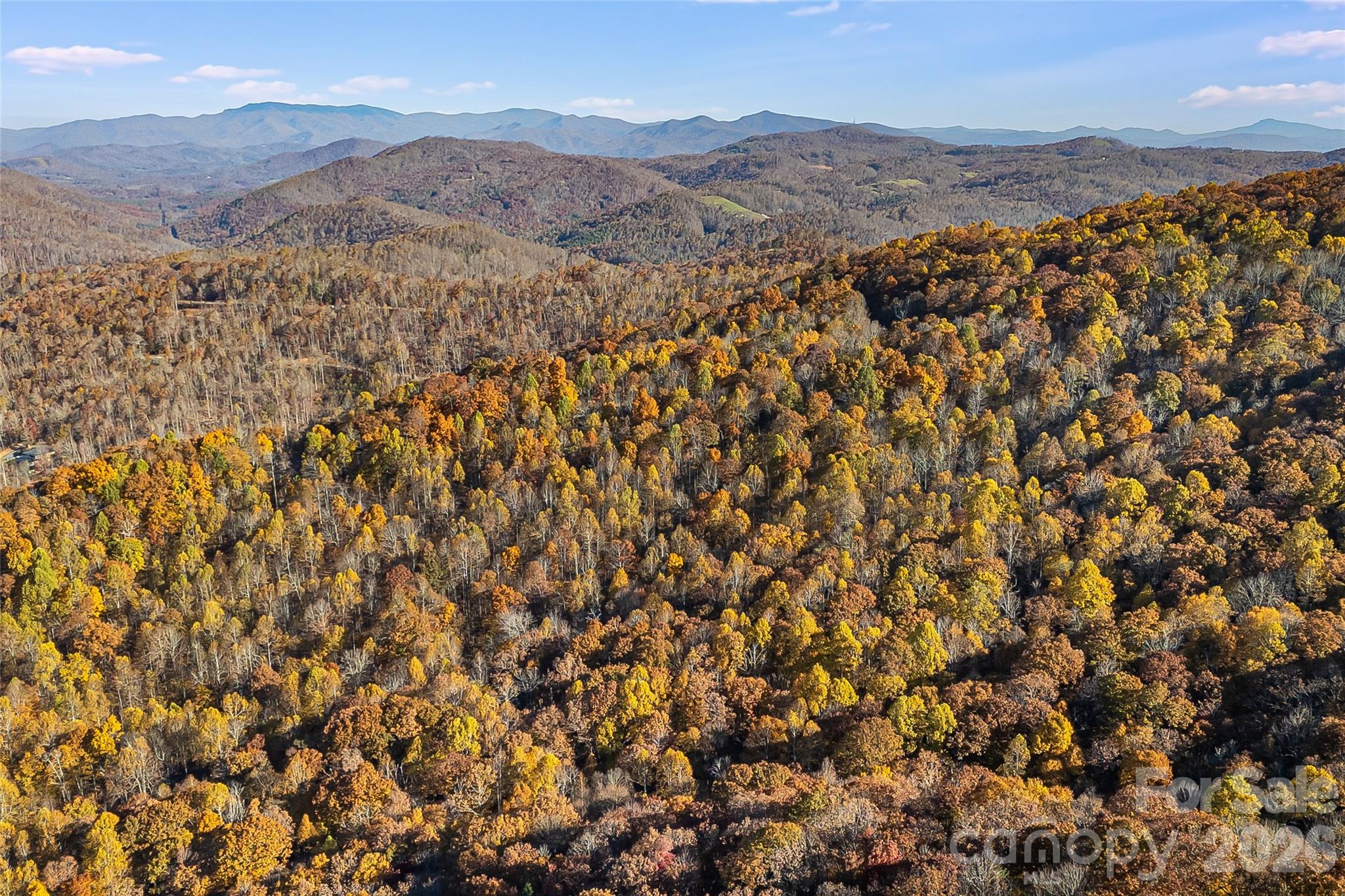 Acreage at LOT 103 Alderfly Court, Spruce Pine, photo 15 of 23