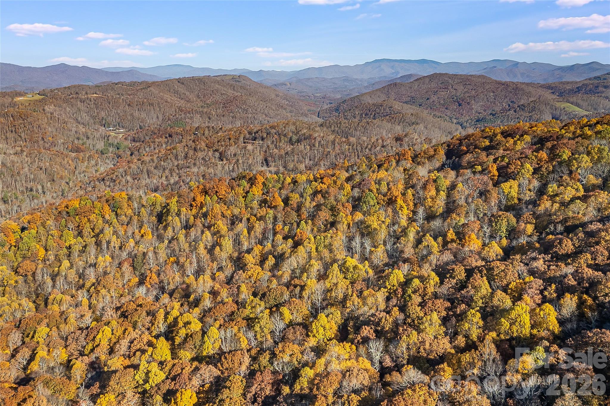 Acreage at LOT 103 Alderfly Court, Spruce Pine, photo 16 of 23