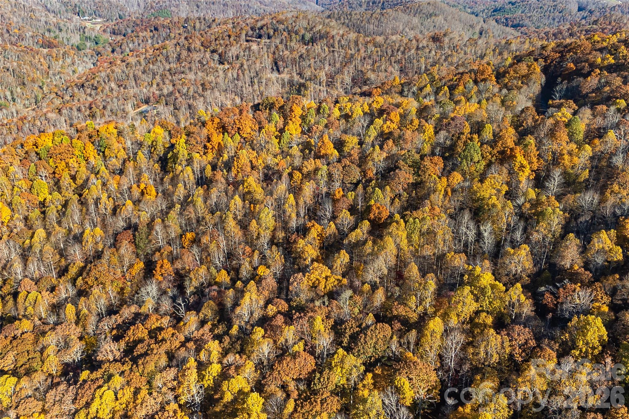 Acreage at LOT 103 Alderfly Court, Spruce Pine, photo 17 of 23