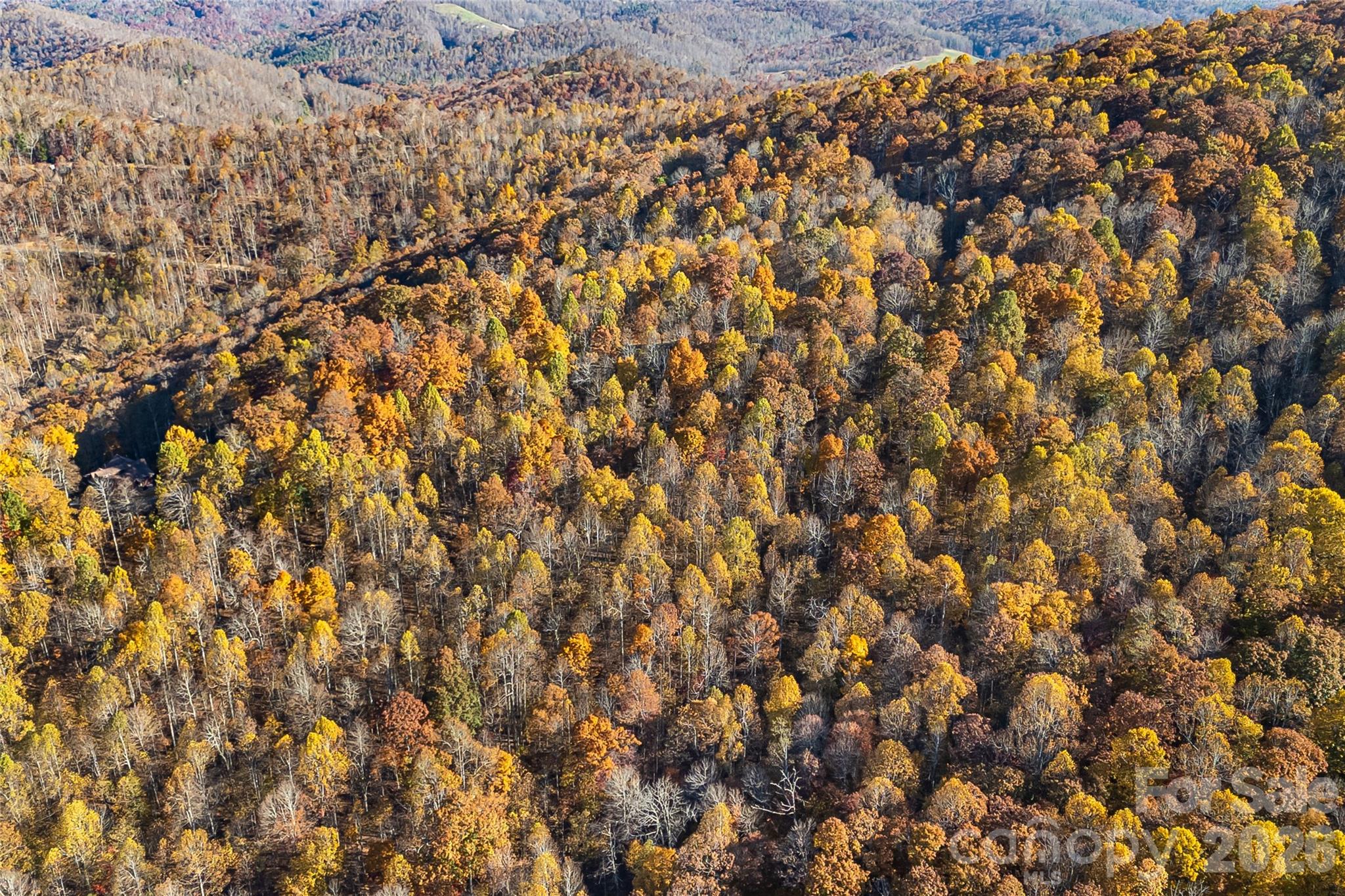 Acreage at LOT 103 Alderfly Court, Spruce Pine, photo 18 of 23