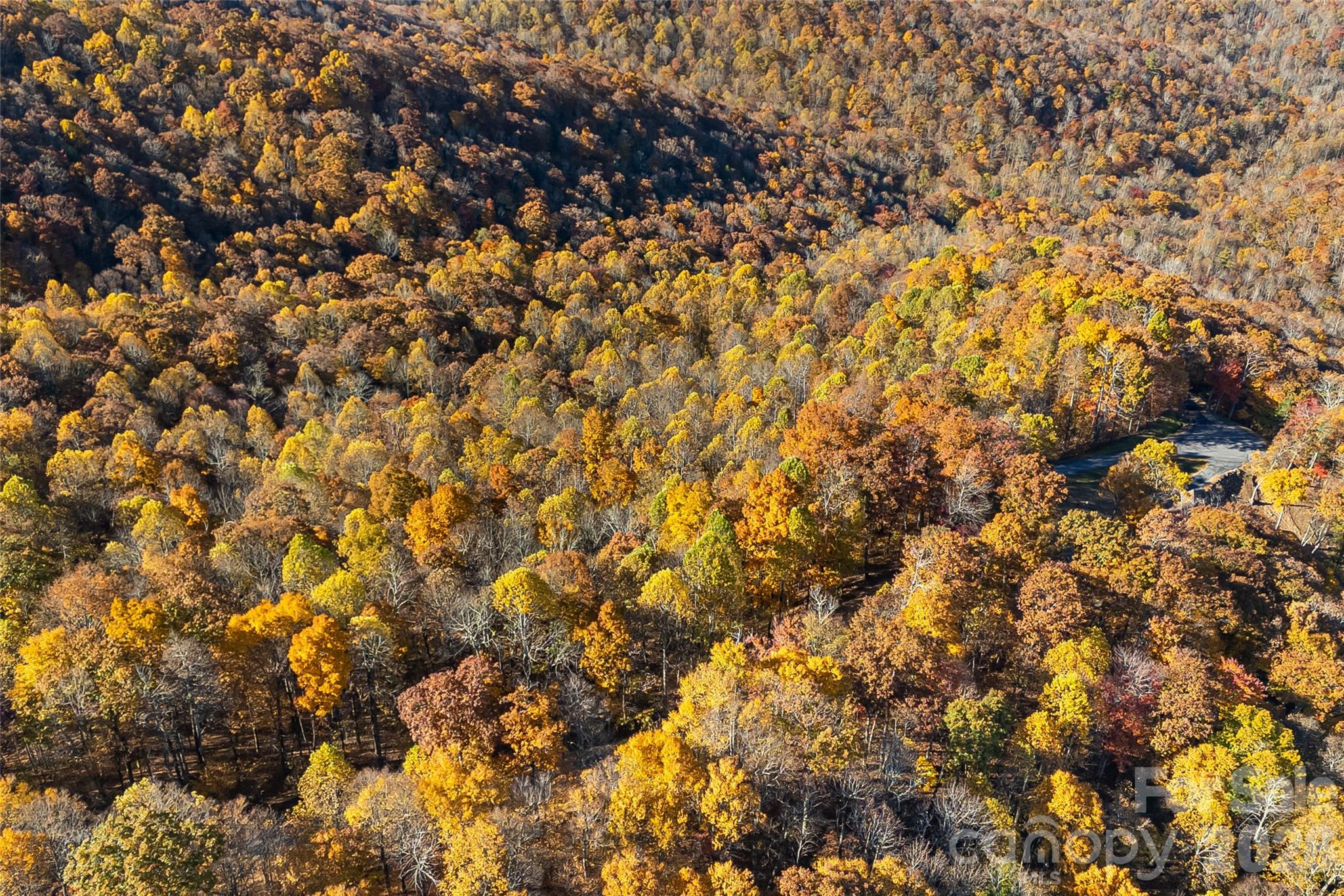 Acreage at LOT 103 Alderfly Court, Spruce Pine, photo 20 of 23