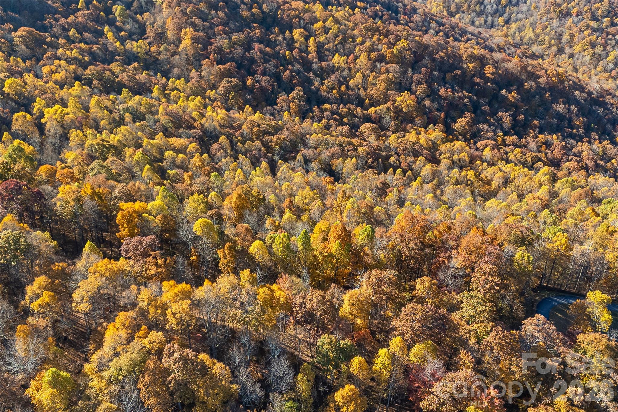 Acreage at LOT 103 Alderfly Court, Spruce Pine, photo 21 of 23