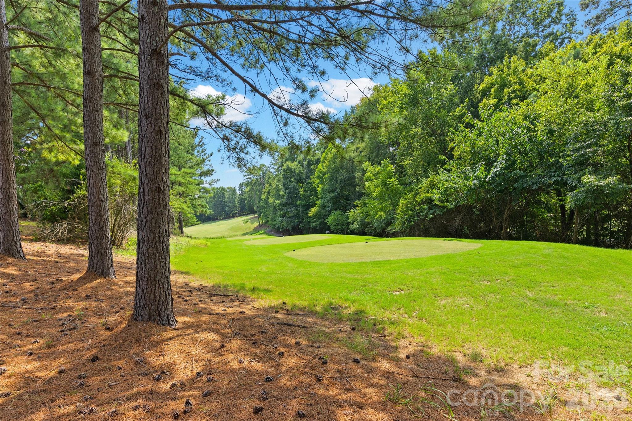 This is your back yard...the 13th Tee - 771 Cherry Hills Place, Rock Hill