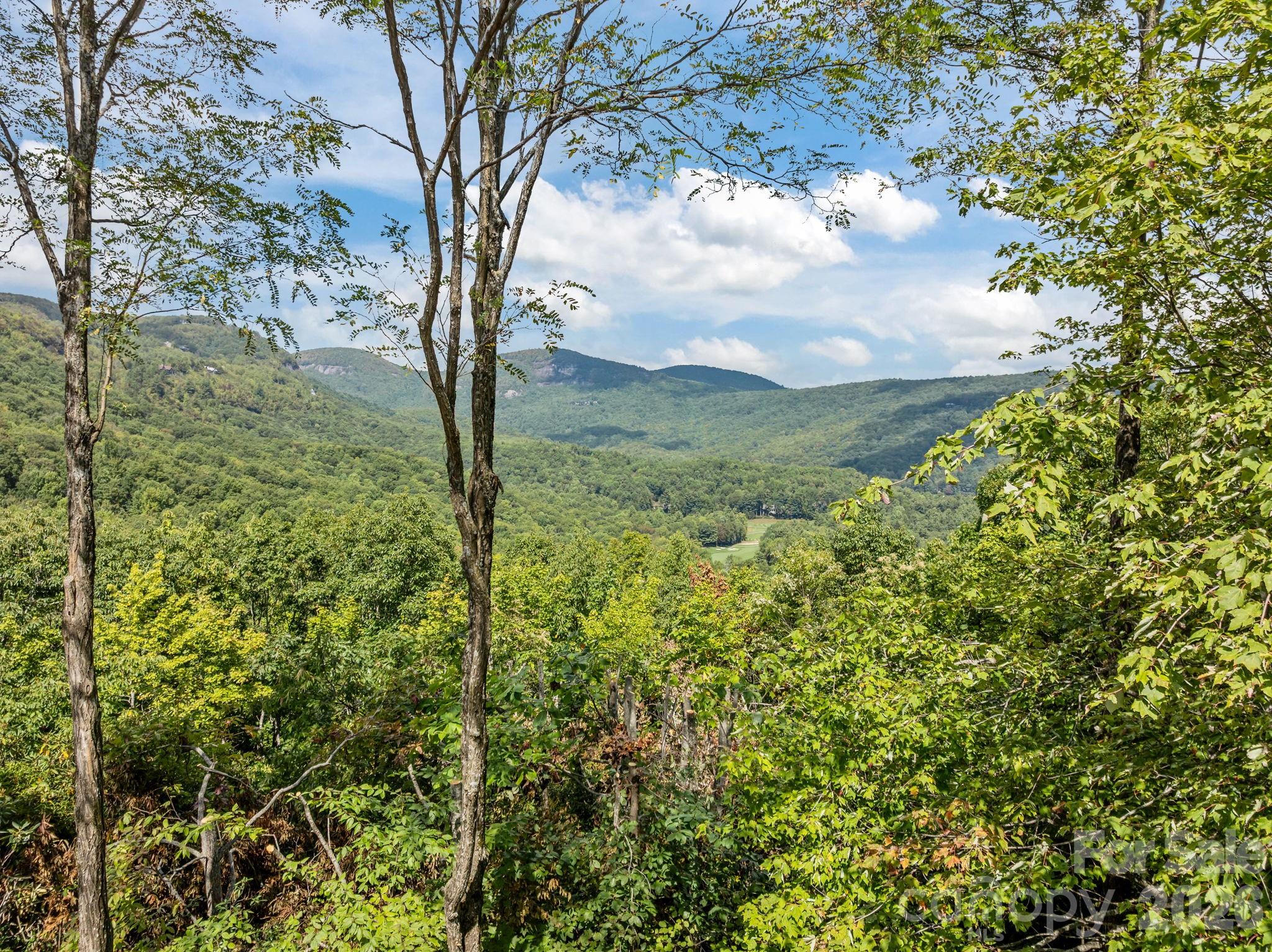 Lot at L 29 Toxaway Drive, Lake Toxaway, photo 8 of 19