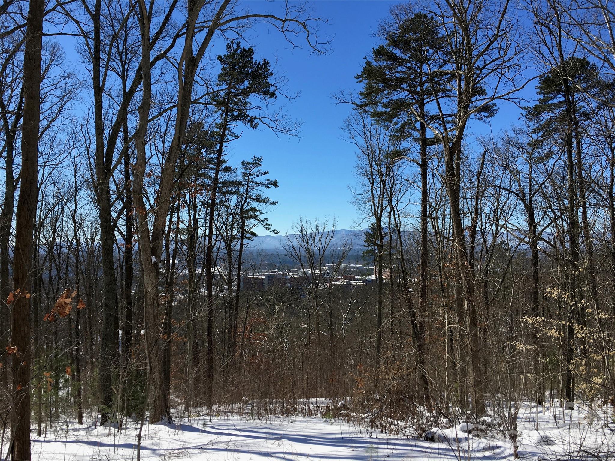 Lot at 28 Samuel Ashe Drive, Asheville, photo 2 of 15