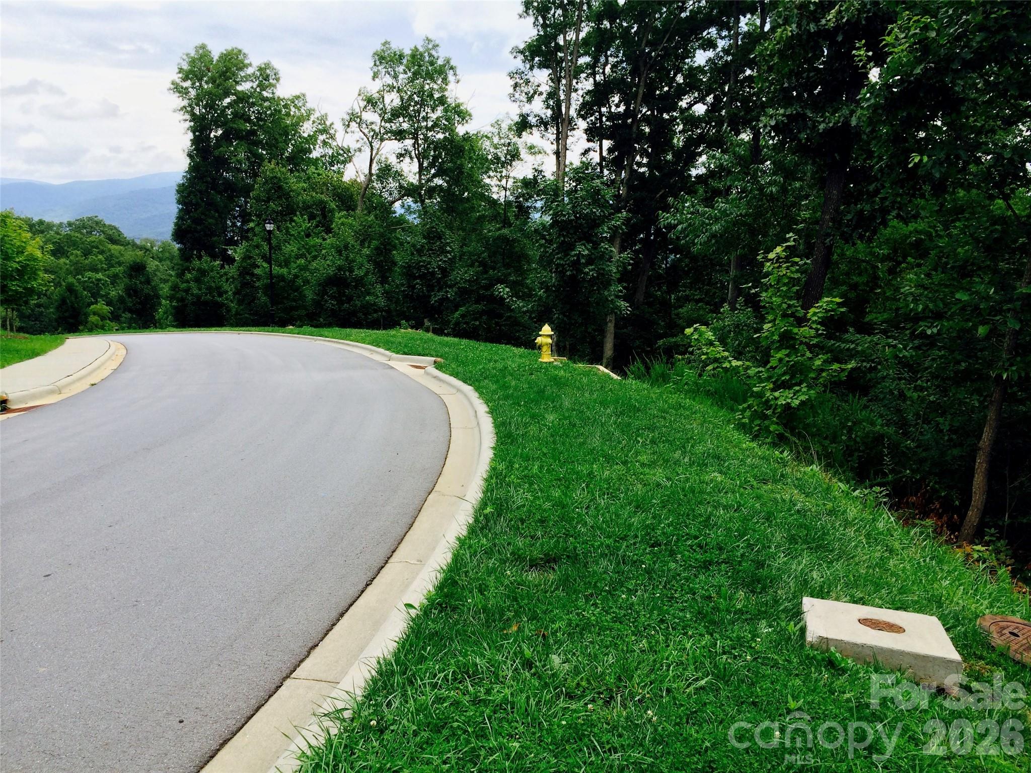 Lot at 28 Samuel Ashe Drive, Asheville, photo 3 of 15
