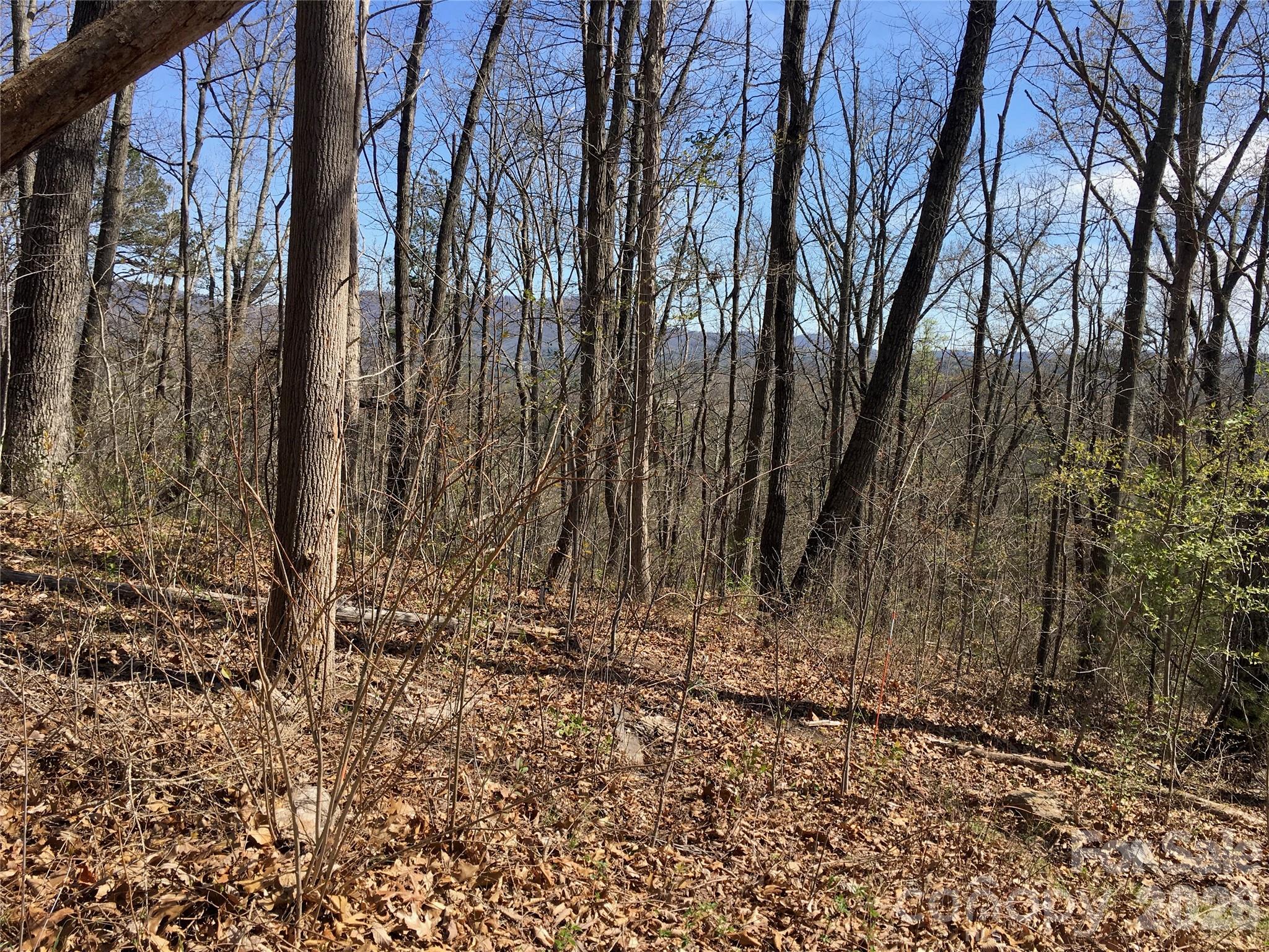 Lot at 28 Samuel Ashe Drive, Asheville, photo 4 of 15