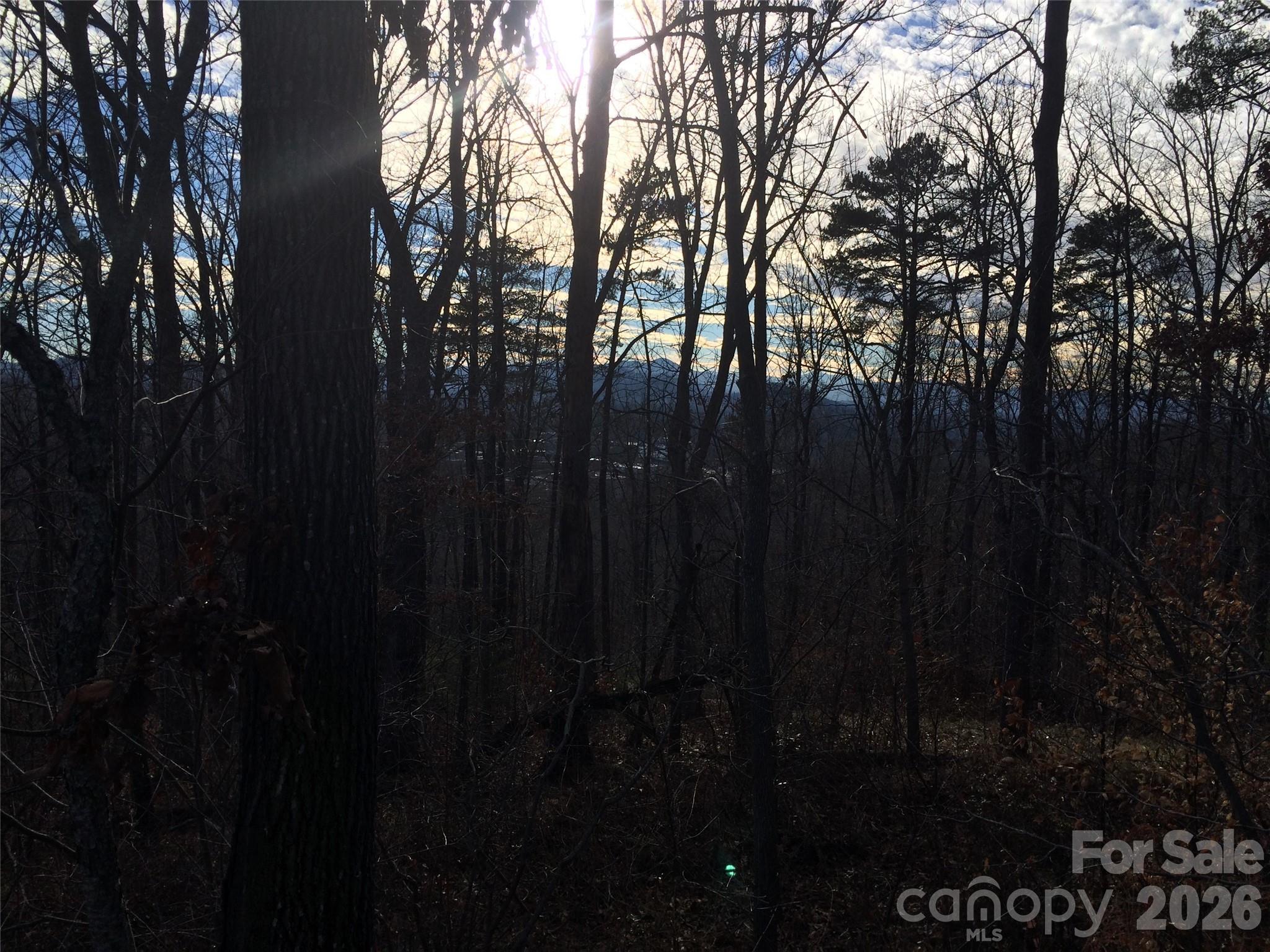 Lot at 28 Samuel Ashe Drive, Asheville, photo 6 of 15