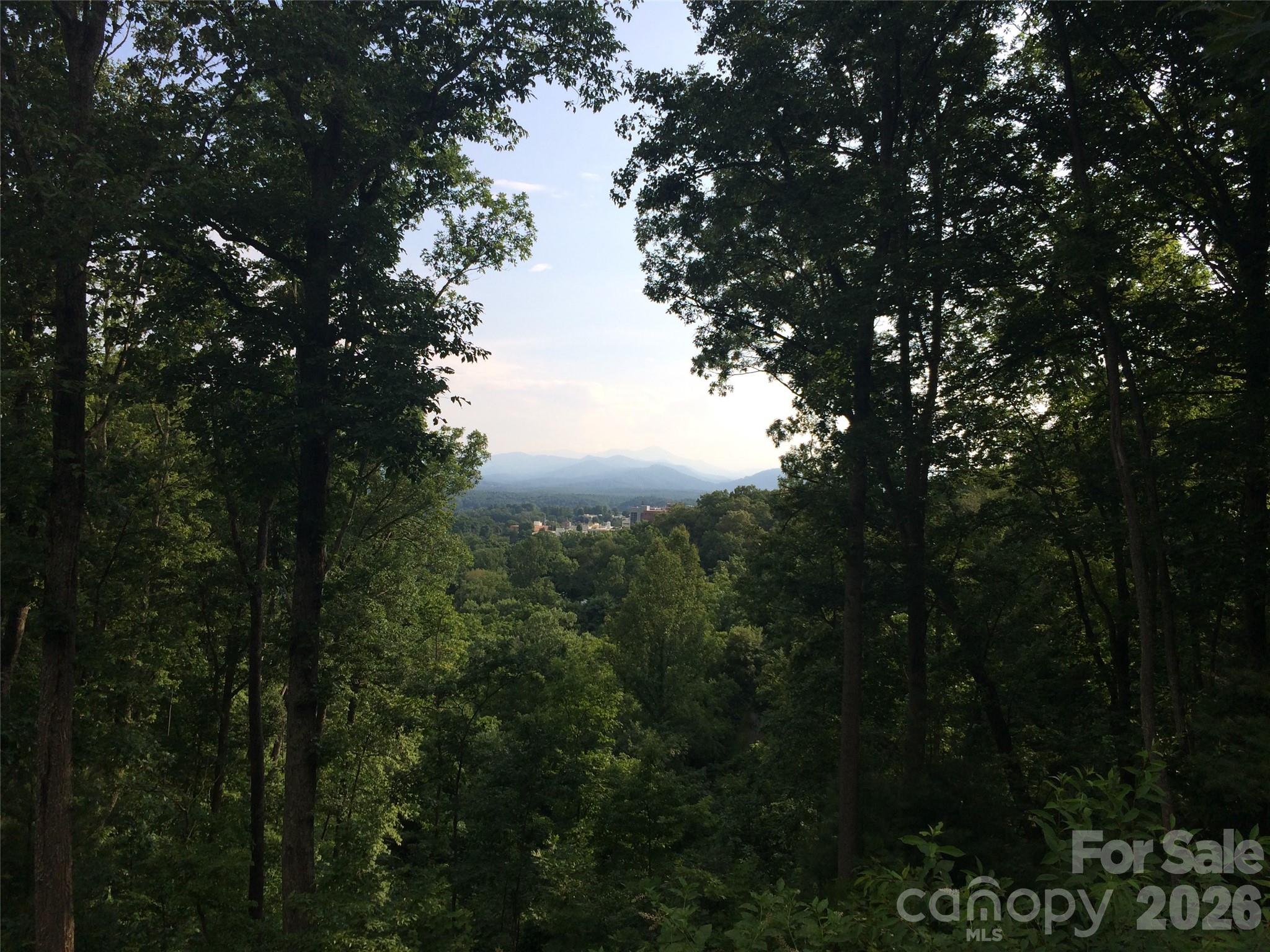 Lot at 28 Samuel Ashe Drive, Asheville, photo 7 of 15