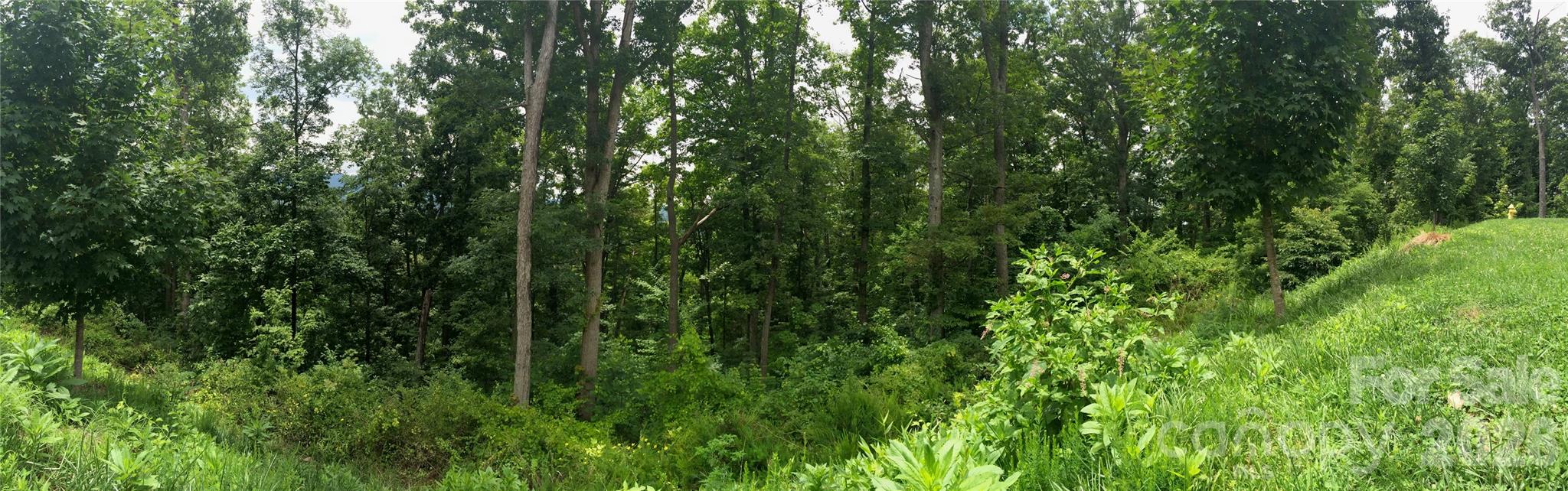 Lot at 28 Samuel Ashe Drive, Asheville, photo 9 of 15