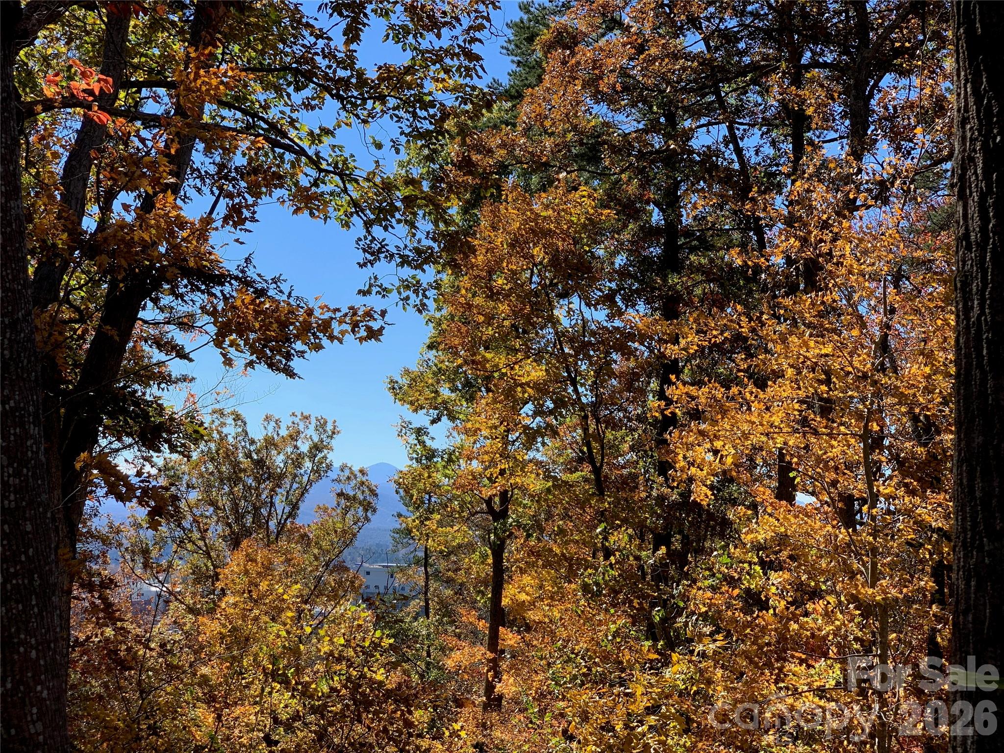 Lot at 28 Samuel Ashe Drive, Asheville, photo 10 of 15