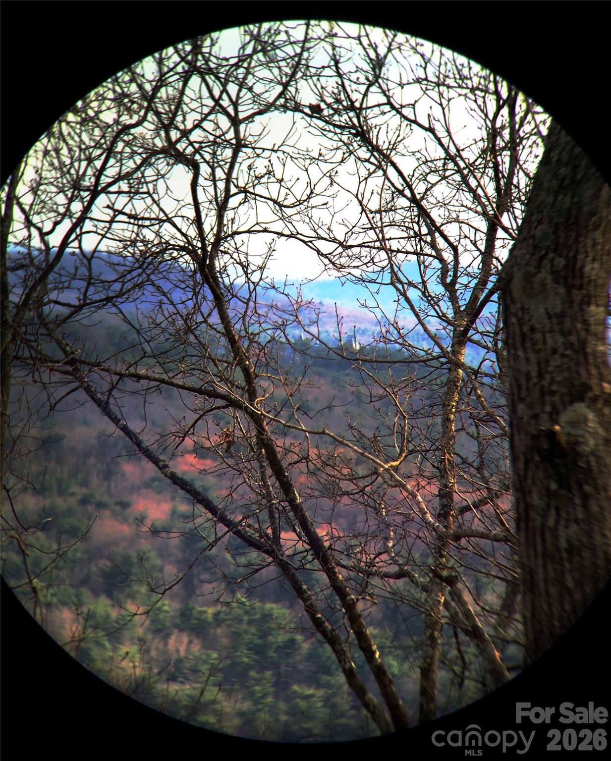 Lot at 28 Samuel Ashe Drive, Asheville, photo 12 of 15