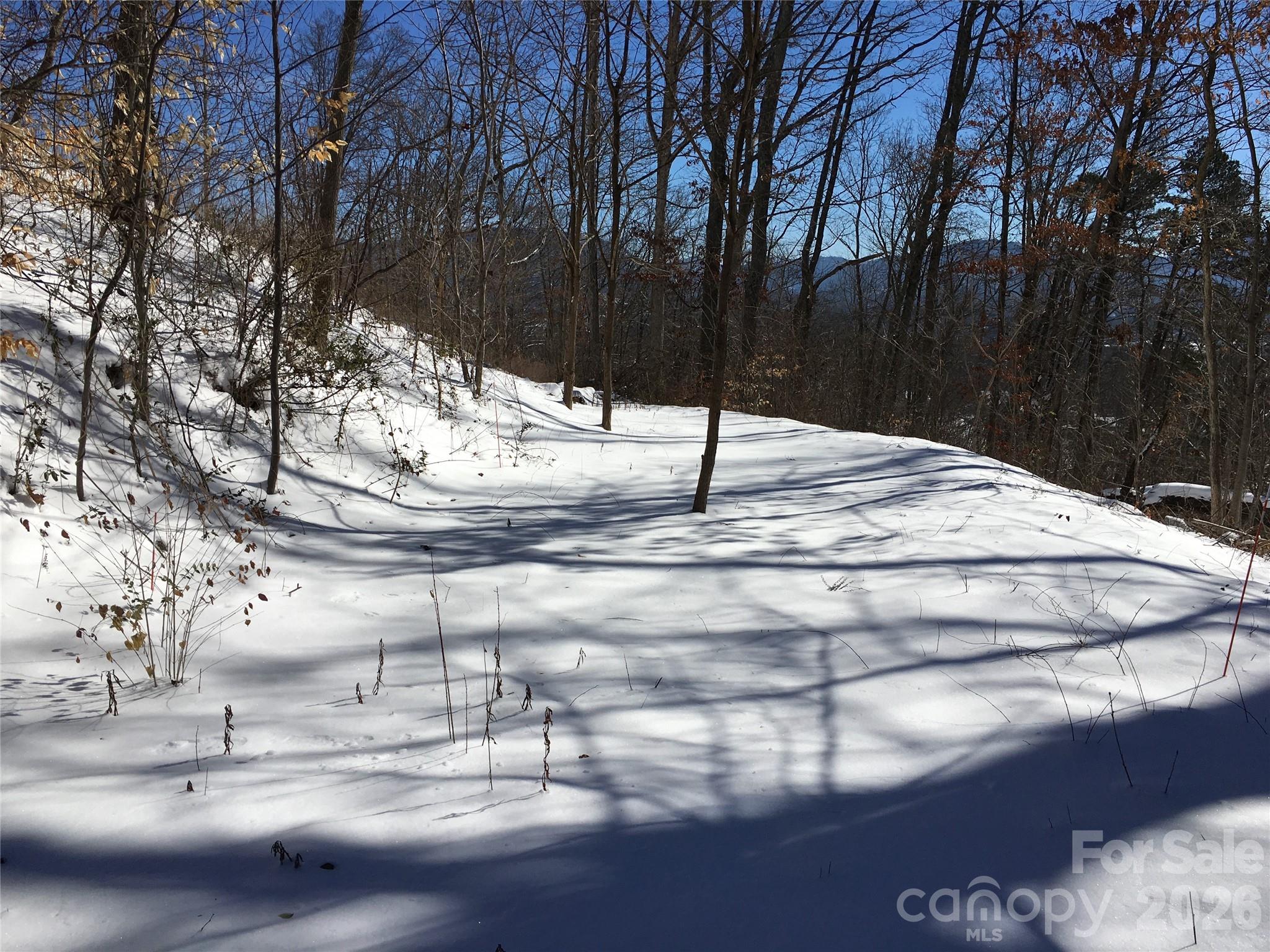 Lot at 28 Samuel Ashe Drive, Asheville, photo 13 of 15