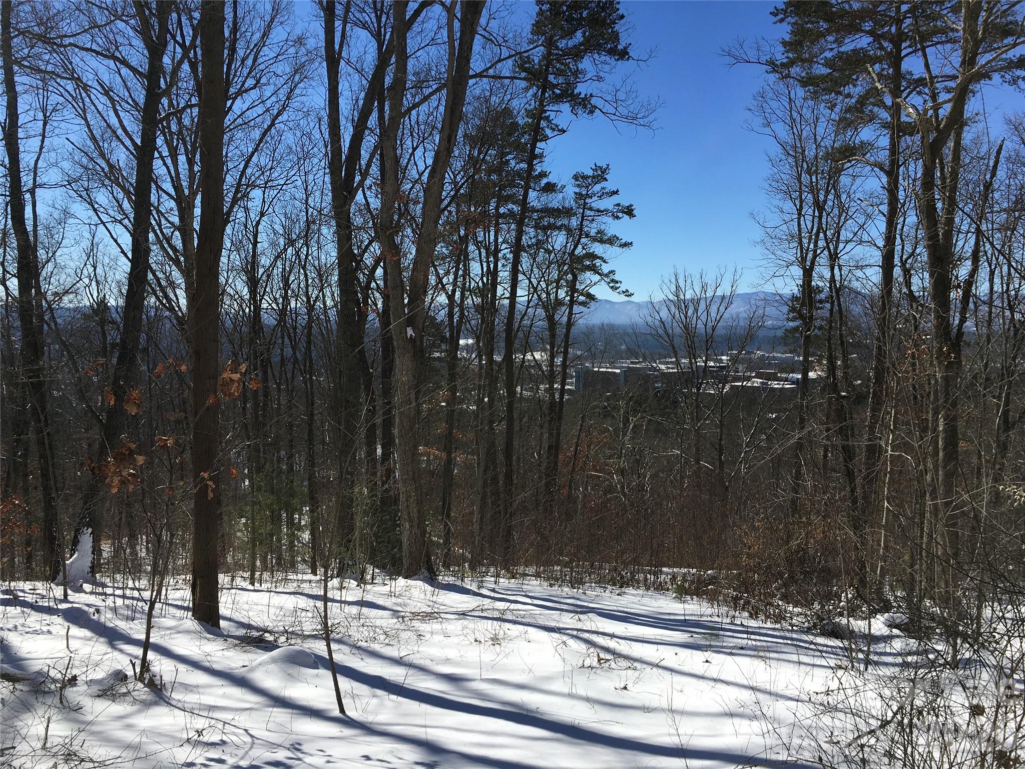 Lot at 28 Samuel Ashe Drive, Asheville, photo 14 of 15