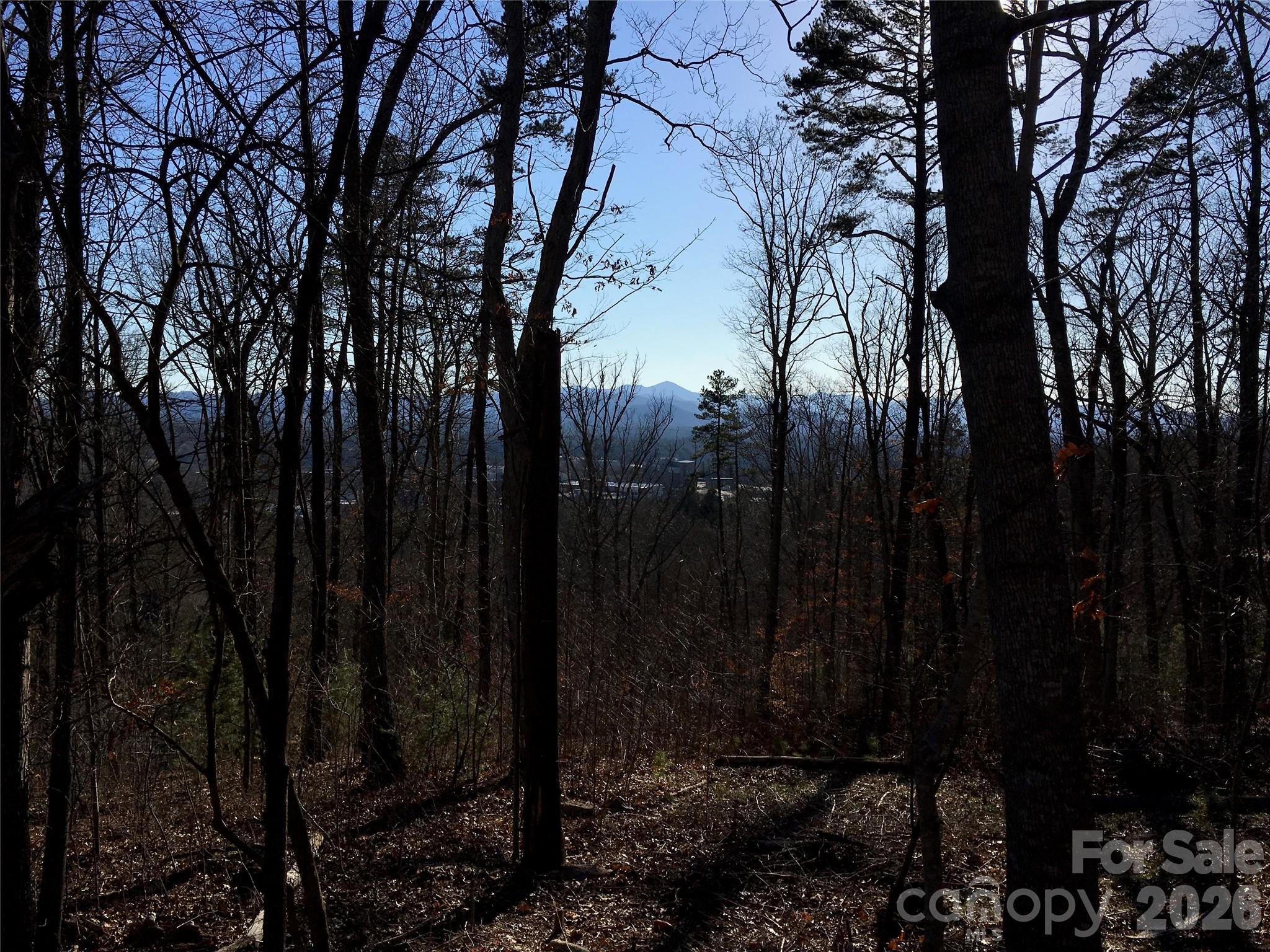 Lot at 28 Samuel Ashe Drive, Asheville, photo 15 of 15