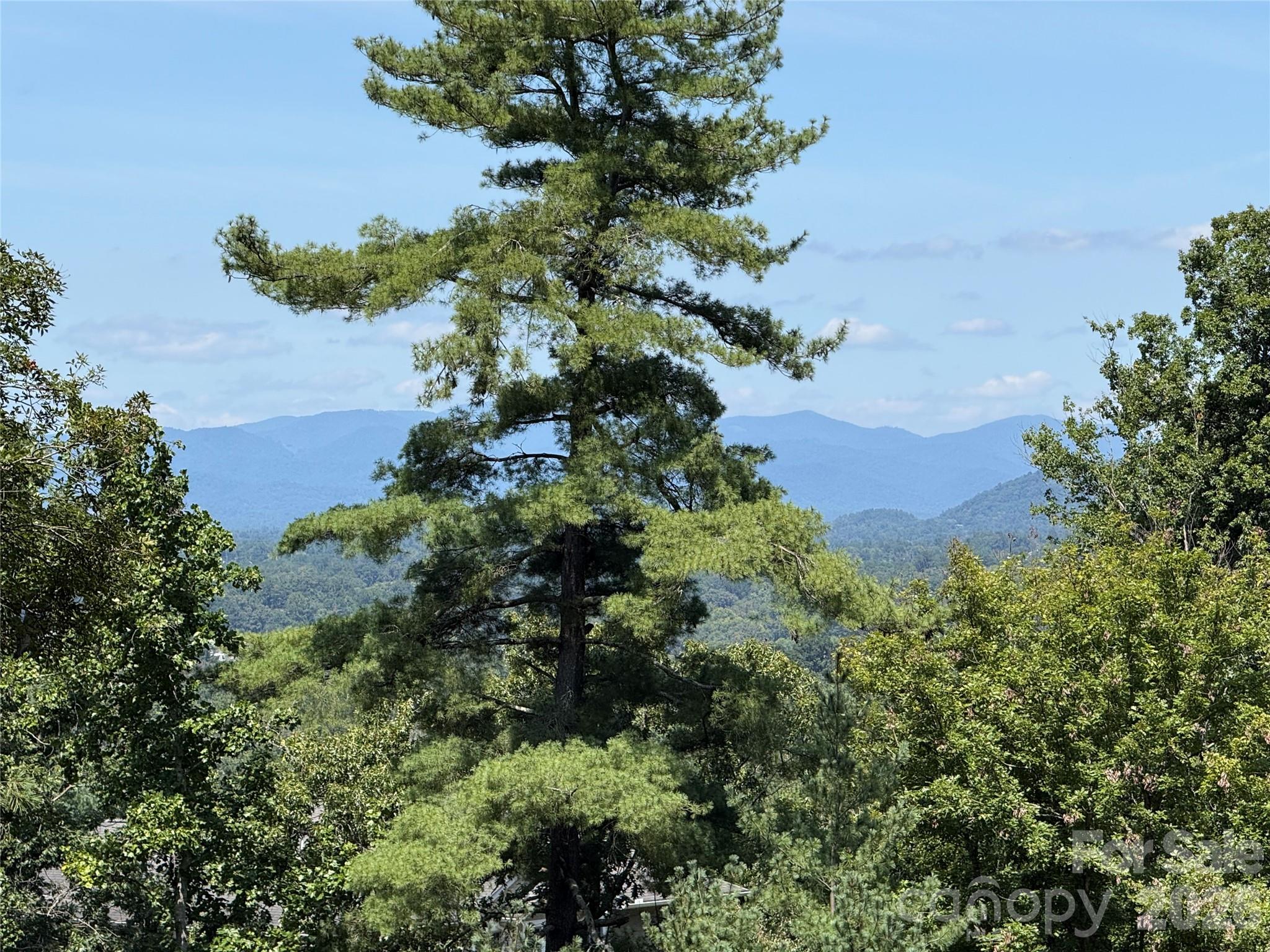 View from back deck - 44 Leisure Mountain Road, Asheville