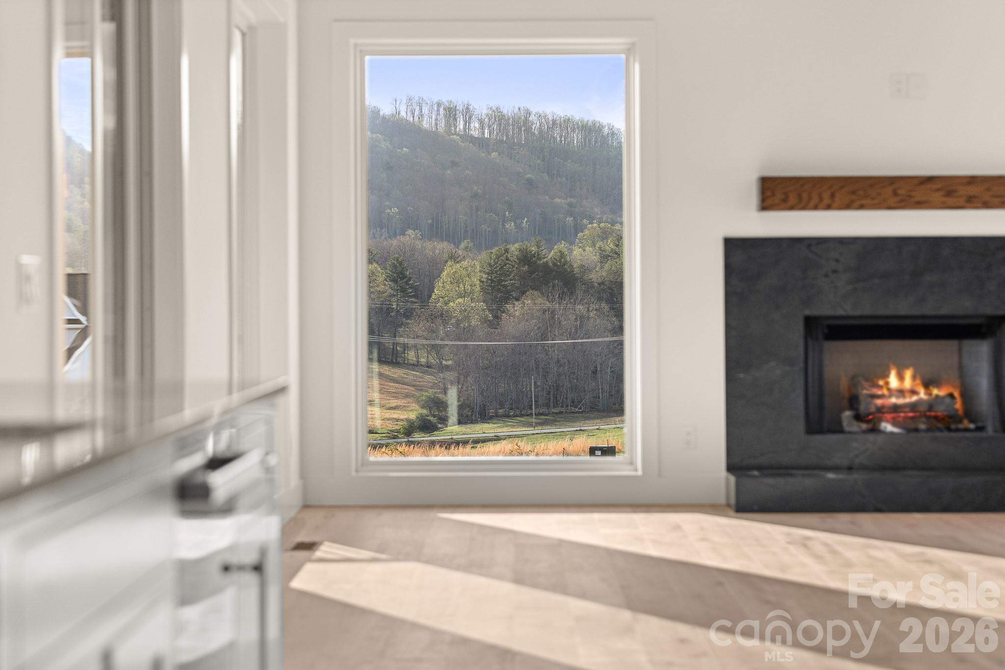 Single Family Residence at 133 Golden Pasture Drive, Fletcher, photo 5 of 42