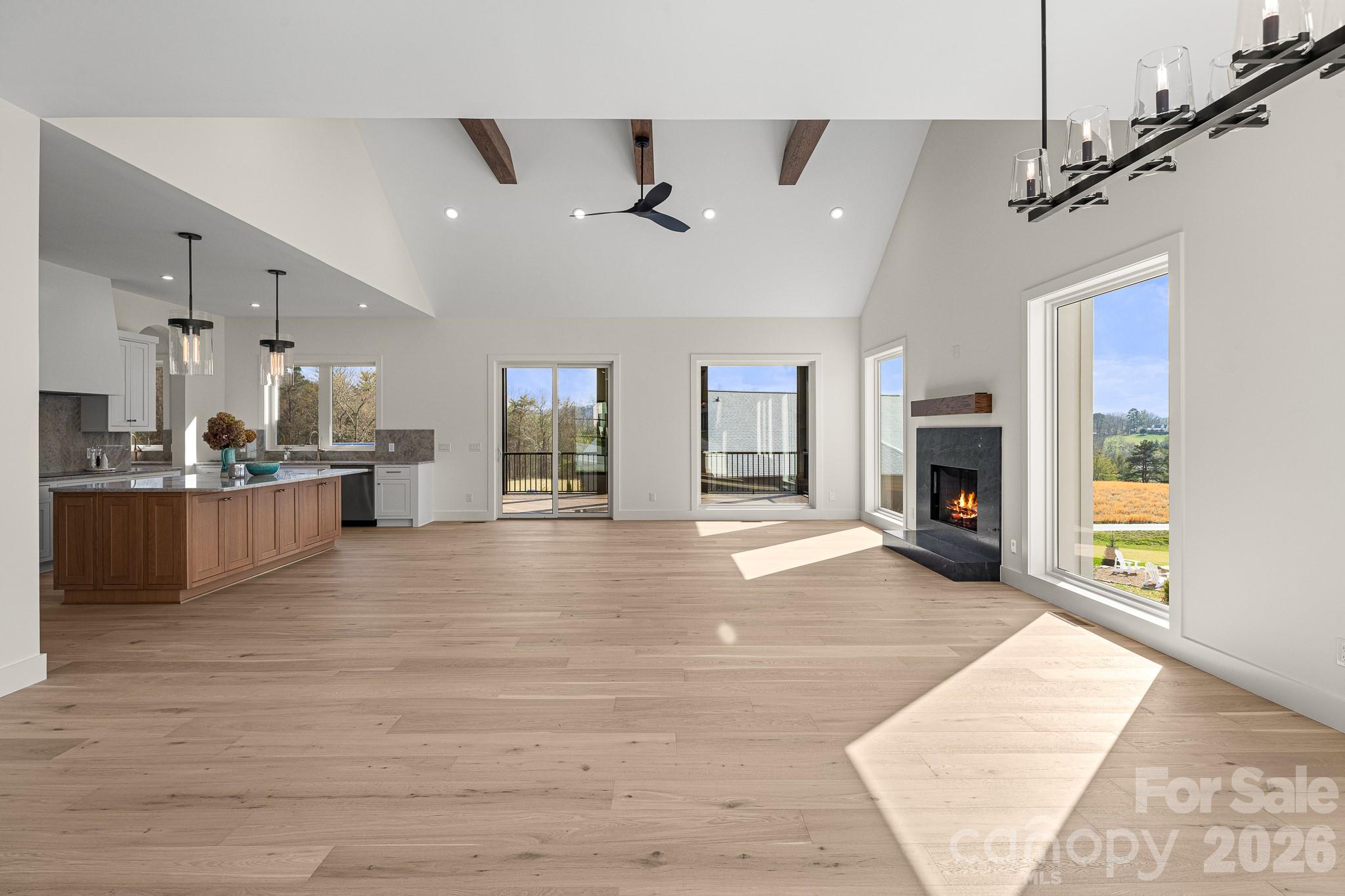 Single Family Residence at 133 Golden Pasture Drive, Fletcher, photo 6 of 42