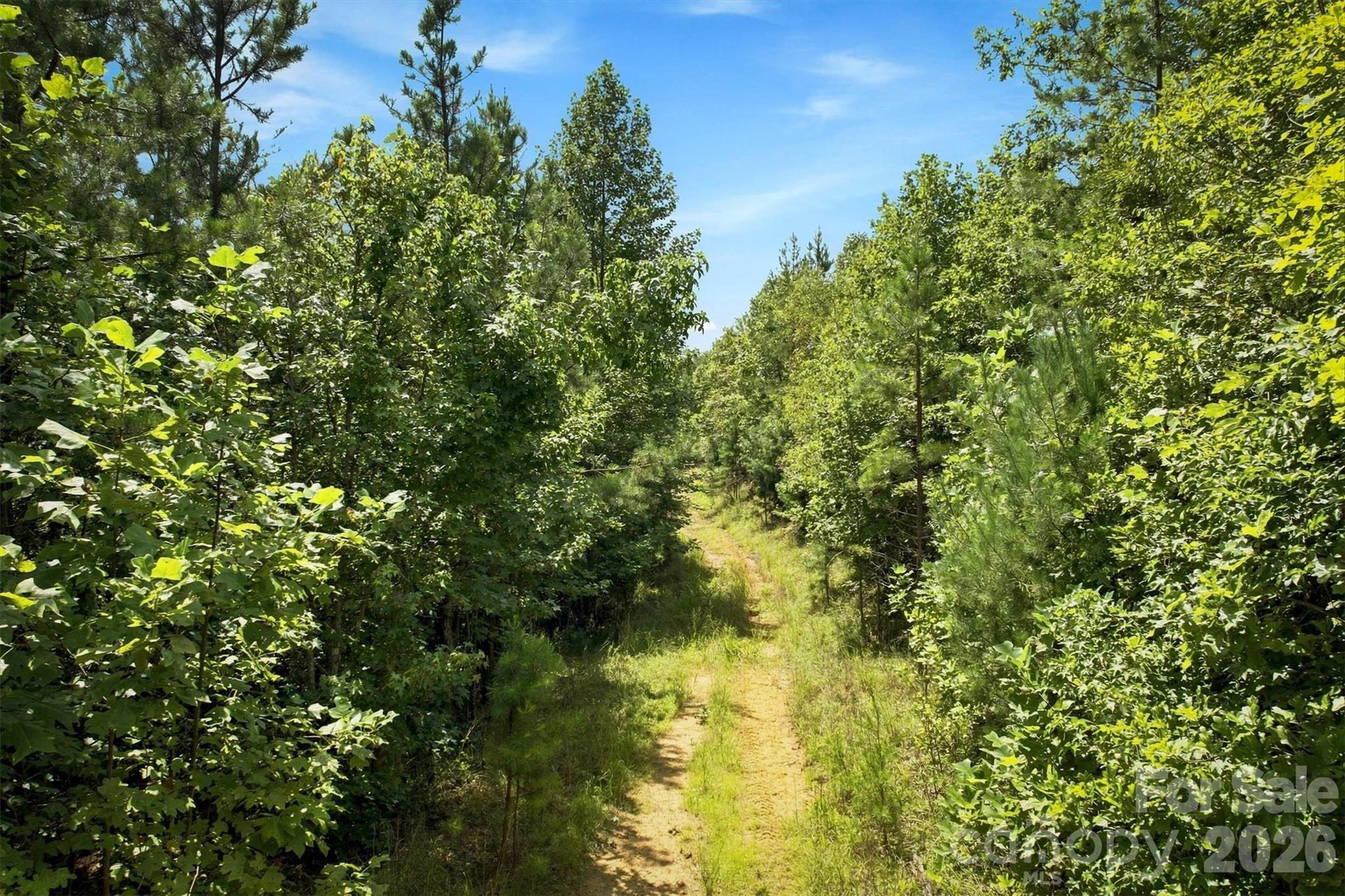 Acreage at TBD Wilkesboro Boulevard, Lenoir, photo 13 of 20