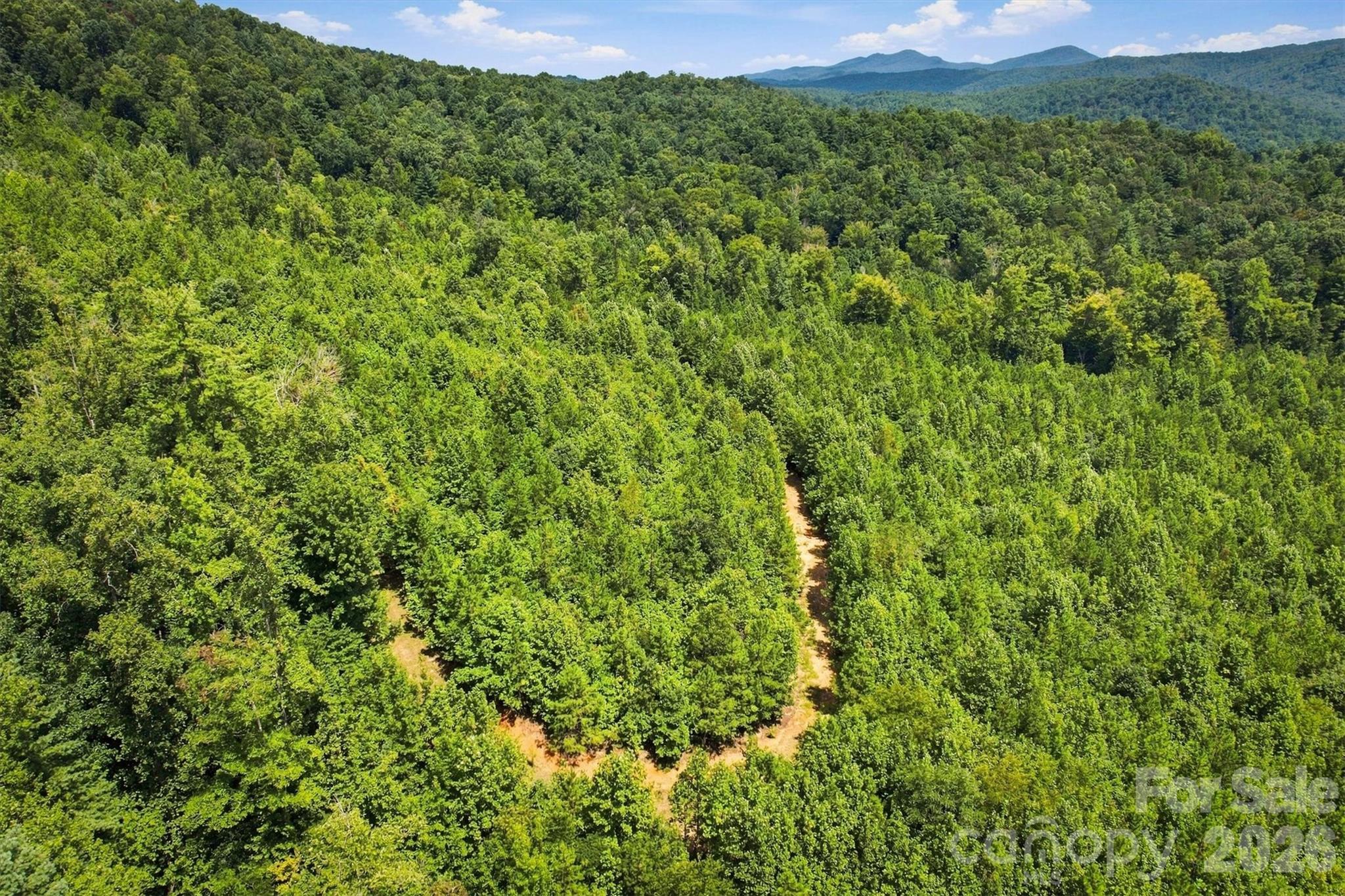 Acreage at TBD Wilkesboro Boulevard, Lenoir, photo 16 of 20