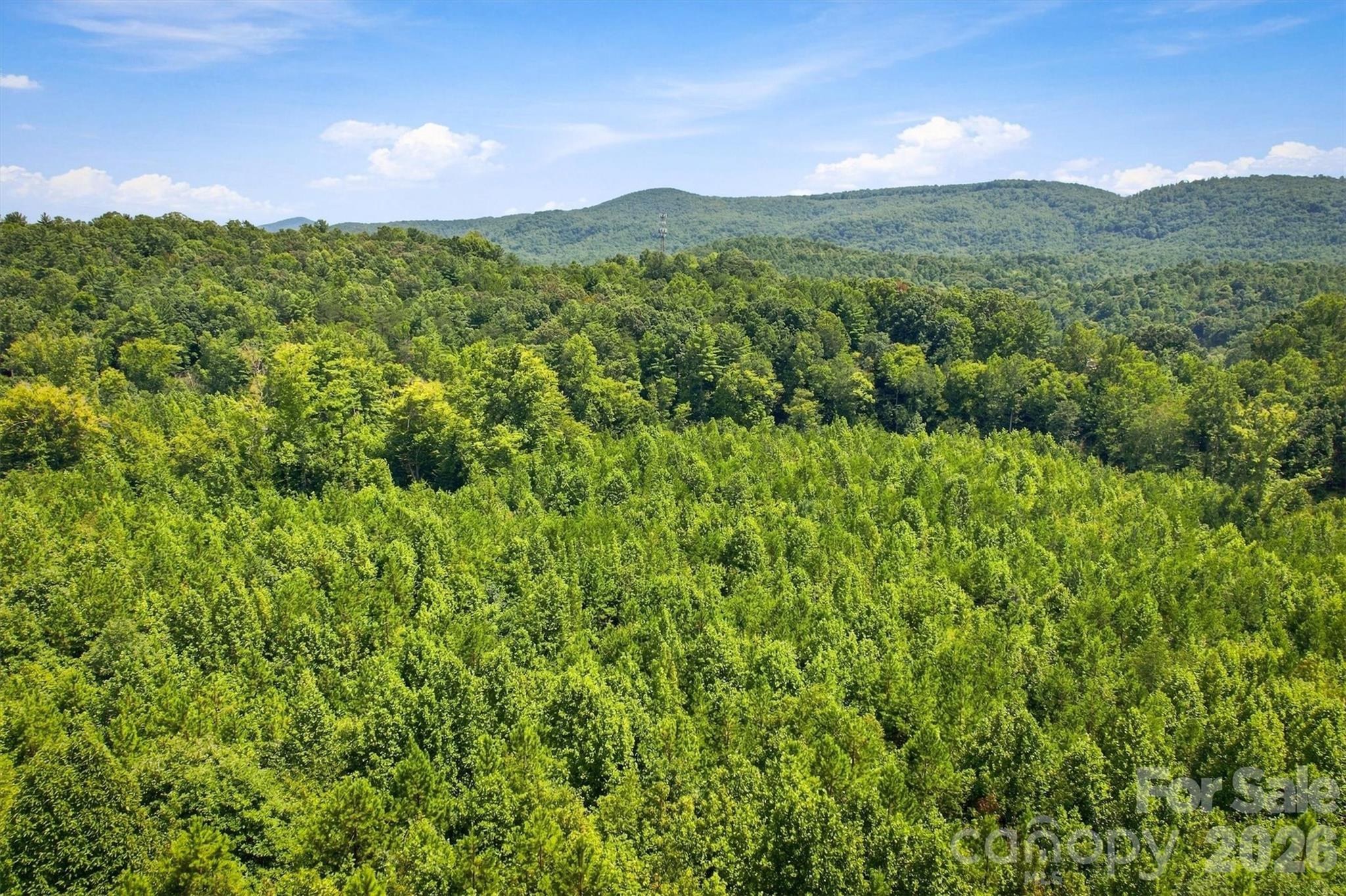 Acreage at TBD Wilkesboro Boulevard, Lenoir, photo 17 of 20