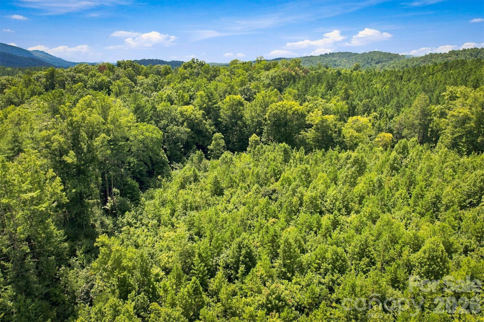 Acreage at TBD Wilkesboro Boulevard, Lenoir, photo 18 of 20