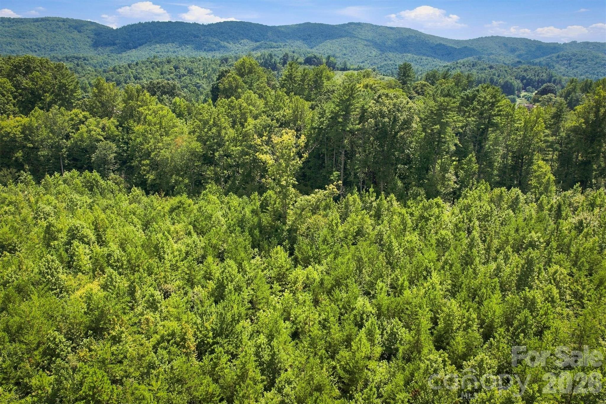 Acreage at TBD Wilkesboro Boulevard, Lenoir, photo 19 of 20