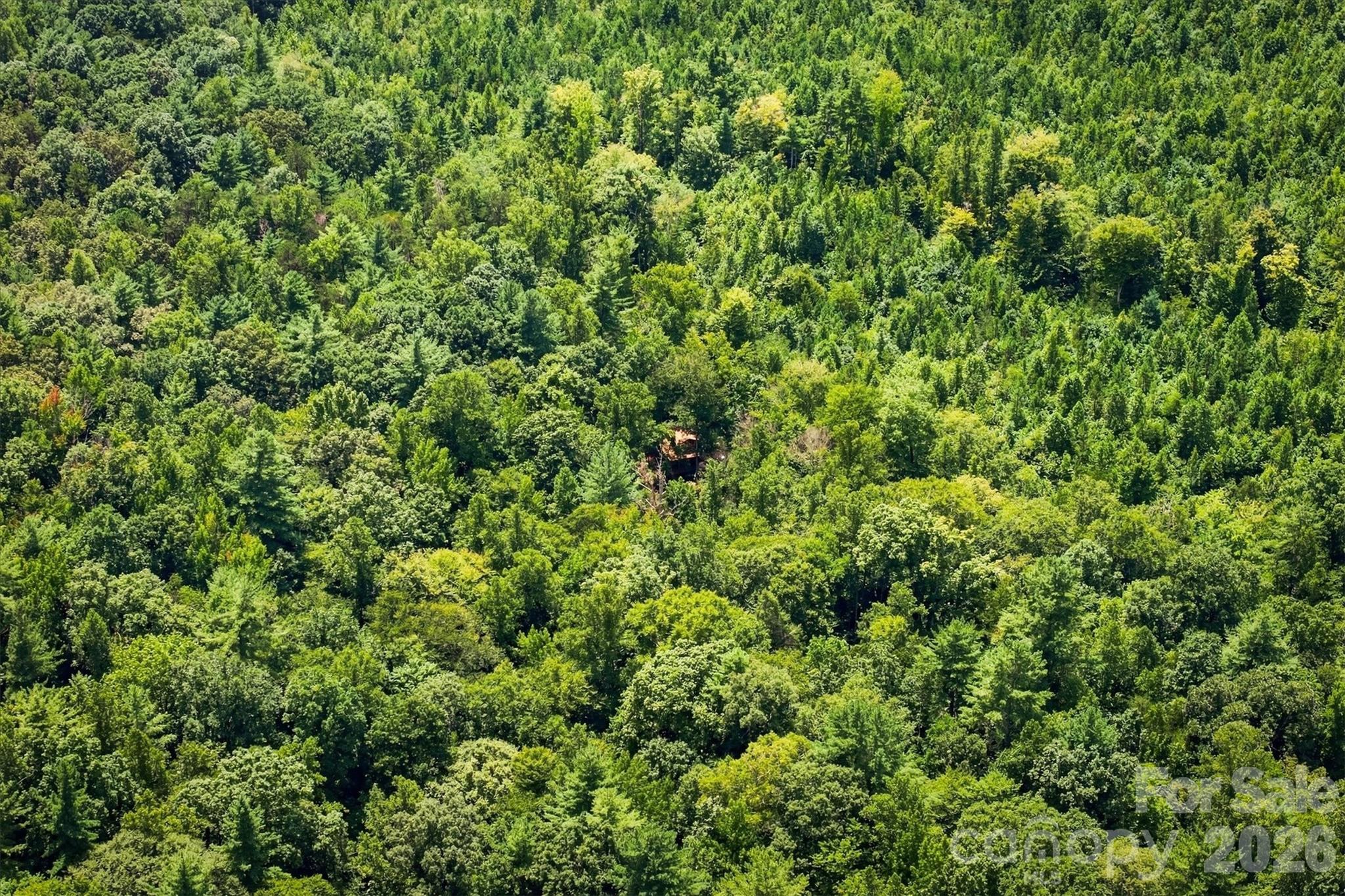 Acreage at TBD Wilkesboro Boulevard, Lenoir, photo 20 of 20