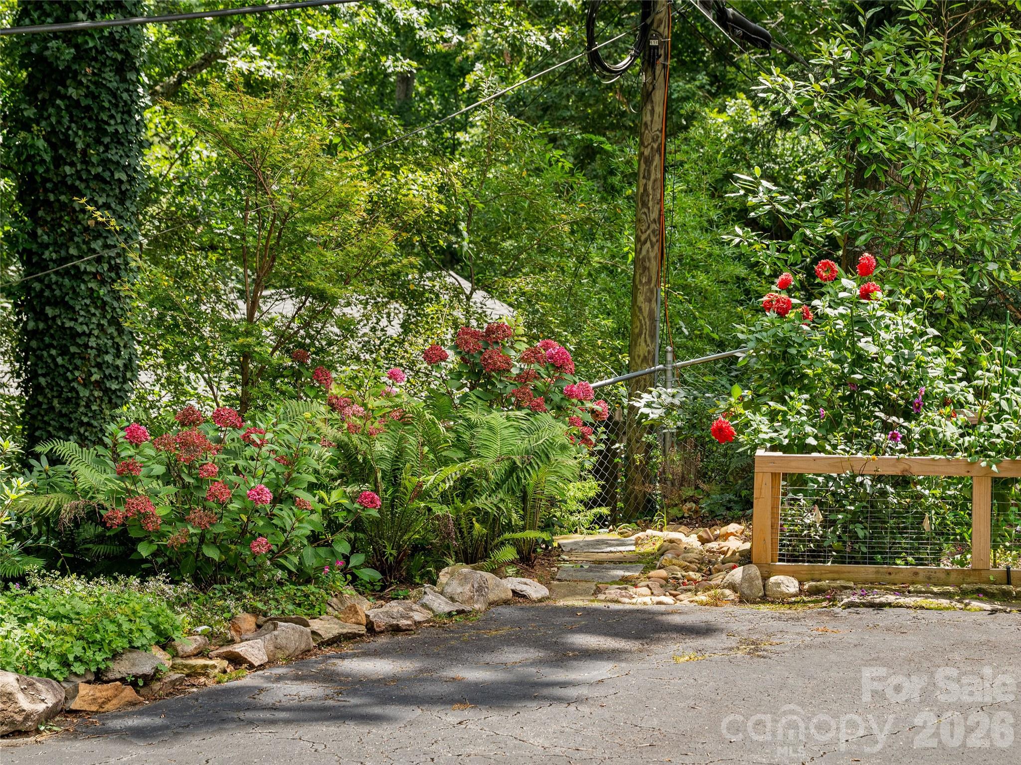 Mature landscpaing - 14 Griffing Boulevard, Asheville