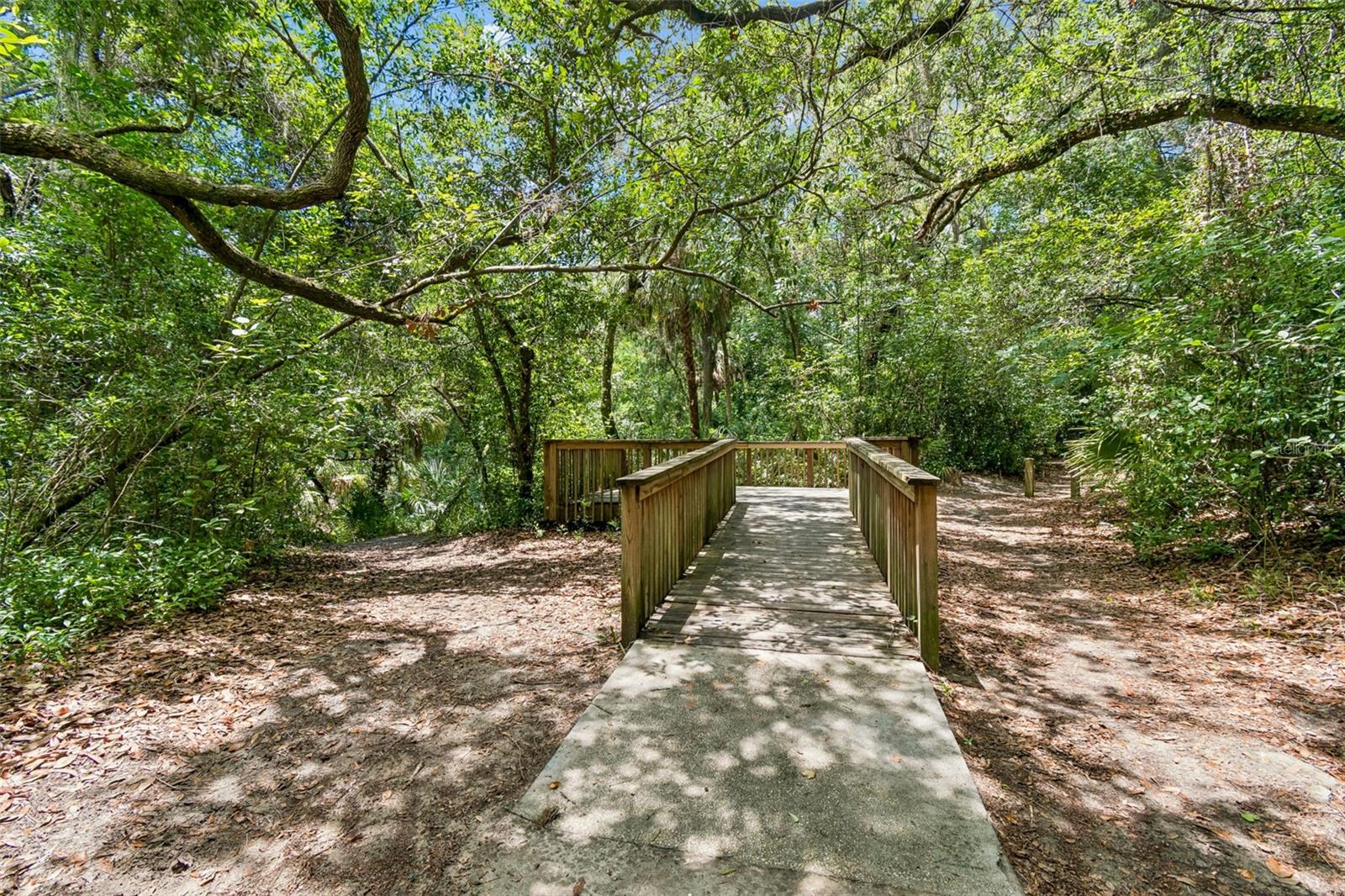 Single Family Residence at 6388 SPIDER LILY WAY, NEW PORT RICHEY, photo 45 of 49