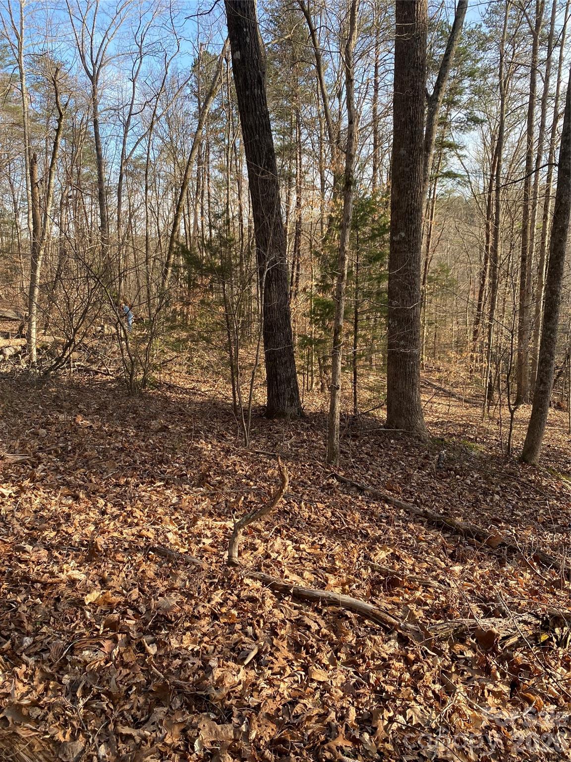 Acreage at 0 Hugh Champion Road, Tryon, photo 2 of 5